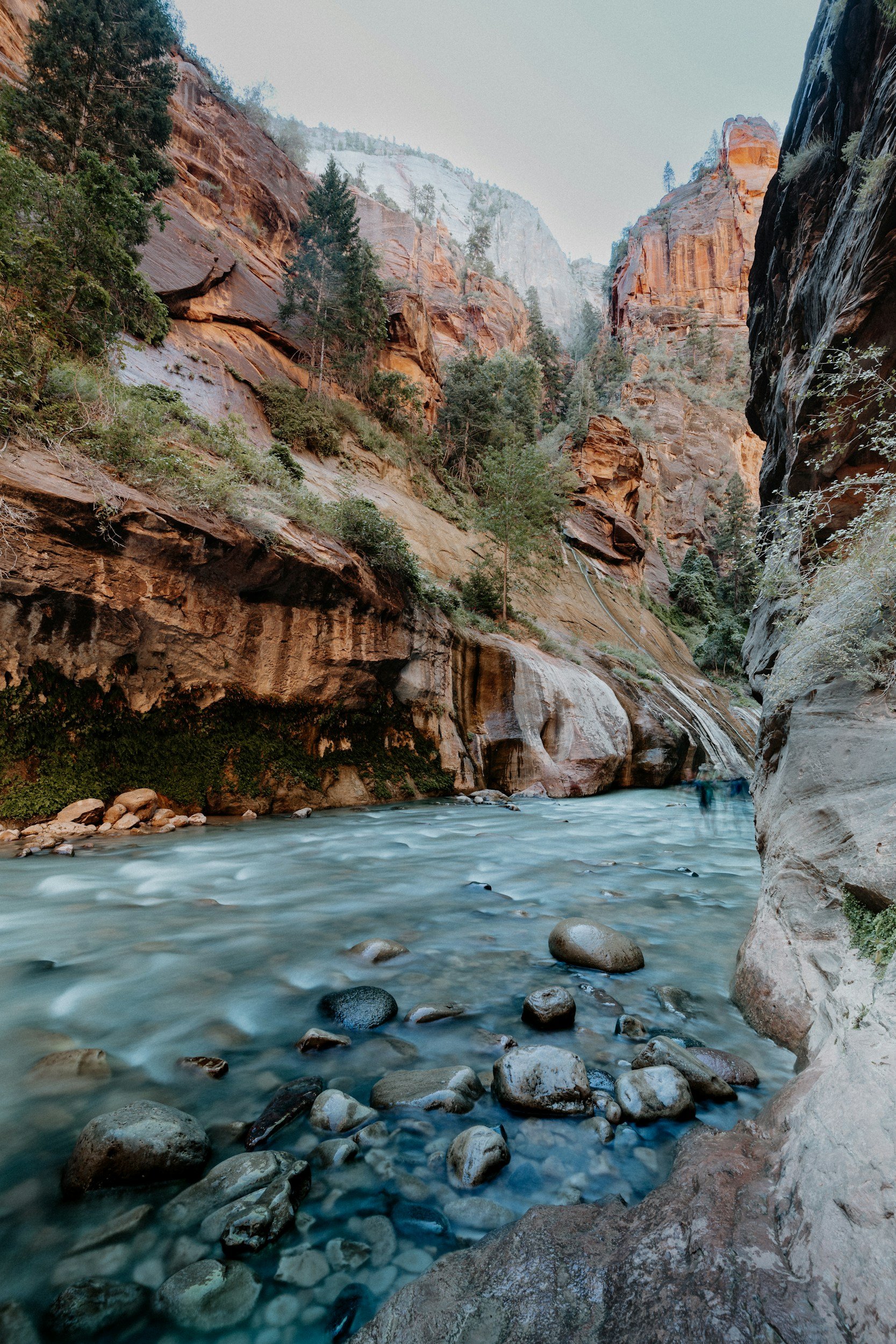 Hiking the Zion Narrows: What to Know Before You Go