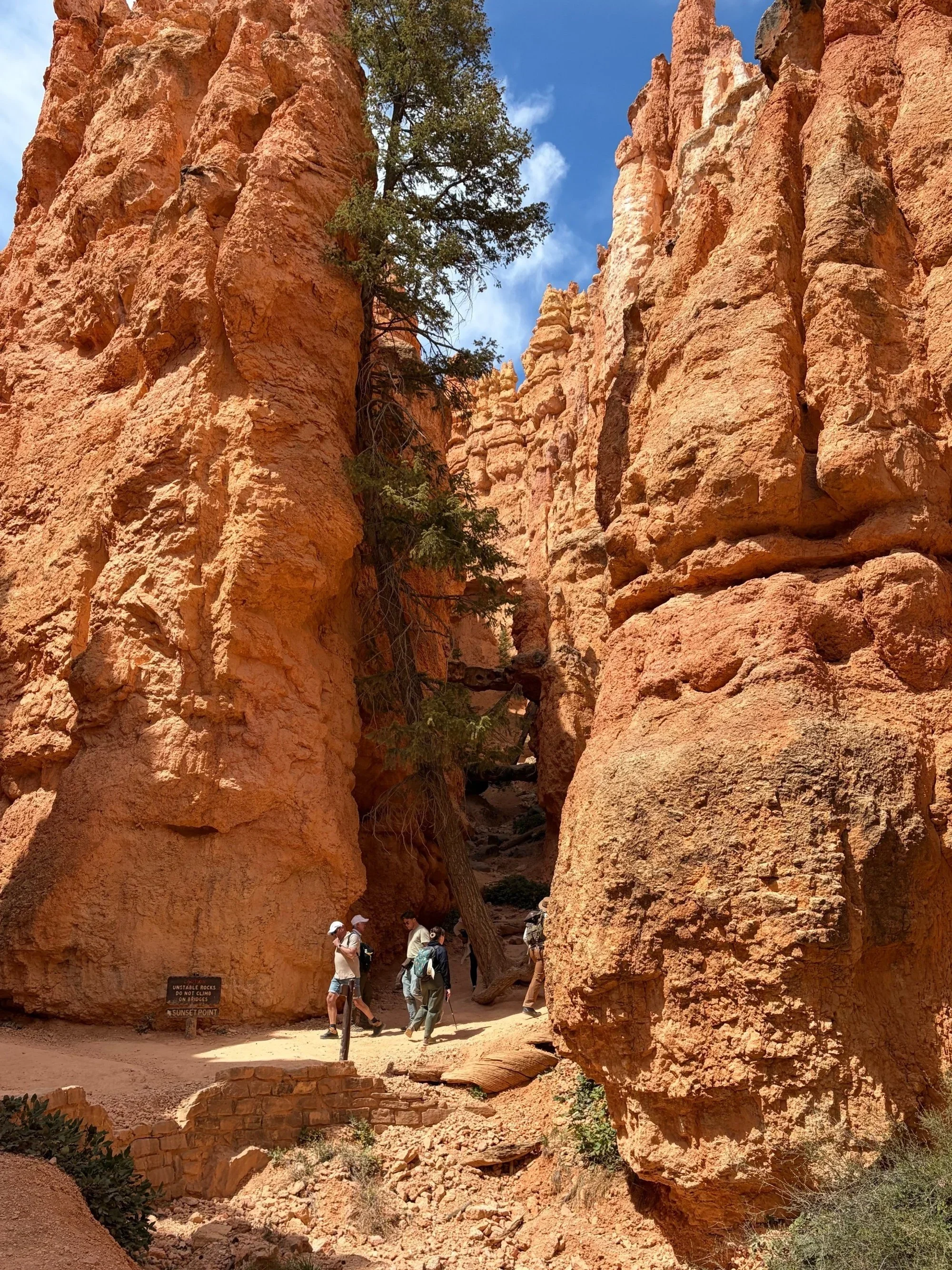 Bryce Canyon Guided Hike – Get Lost in Hoodoos!