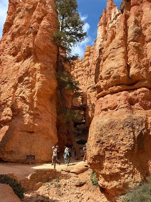 Bryce Canyon Guided Hike – Get Lost in Hoodoos!