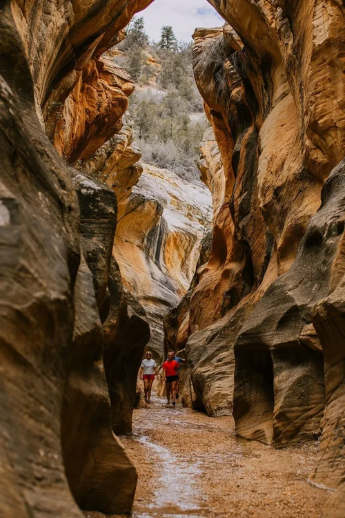 Willis Creek Slot Canyon Hike