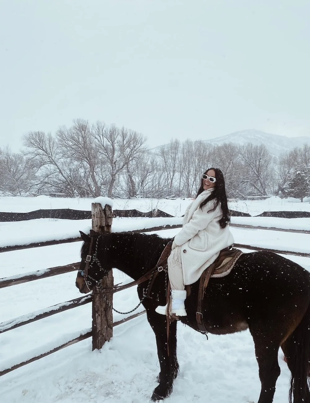 Winter Horseback Rides