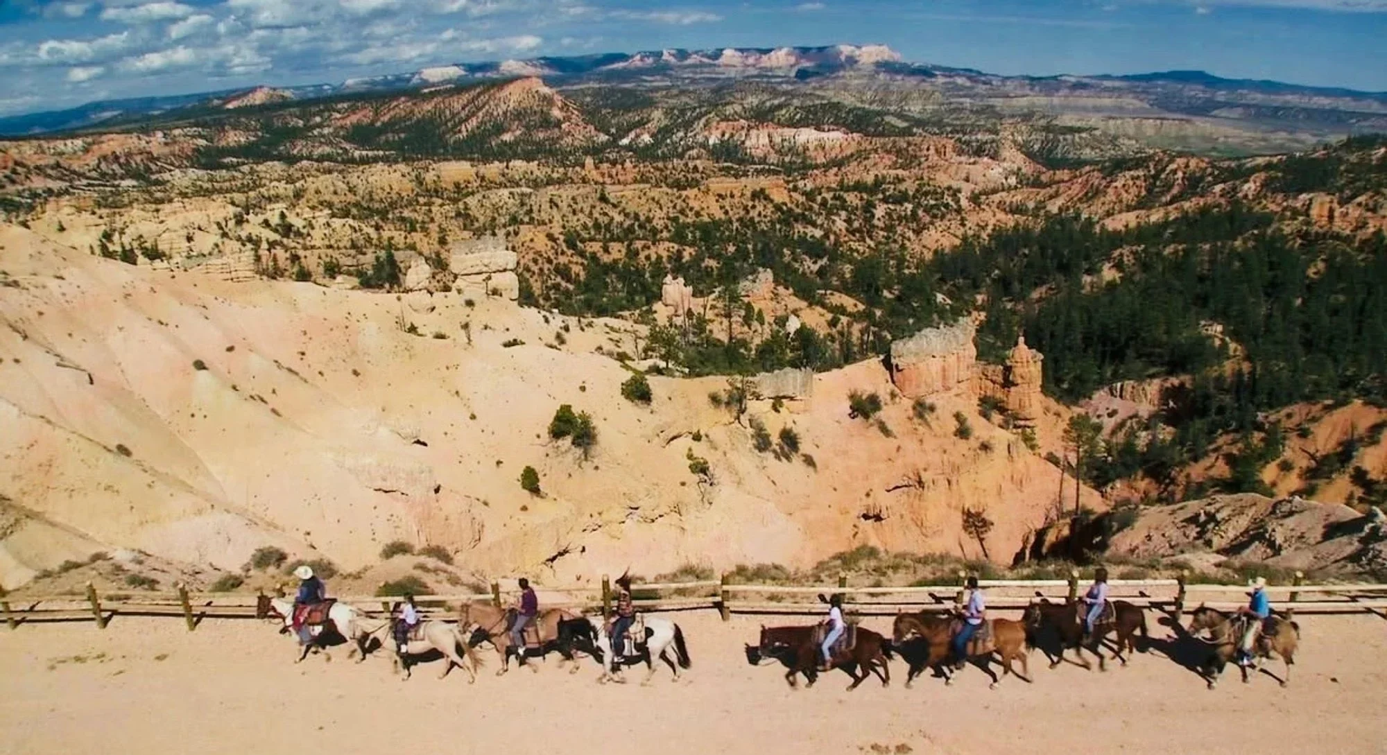 1.5 Hour Horseback Adventure 