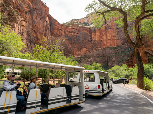Open Air Tram Tour