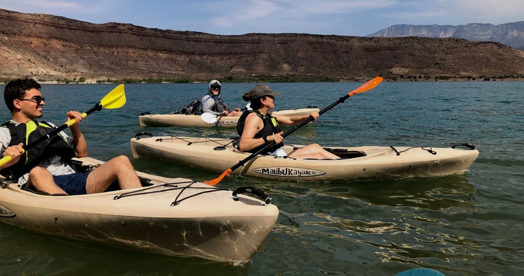 2 Hour Guided Paddleboard/Kayak Eco Tour