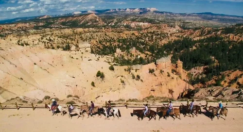 1.5 Hour Horseback Adventure