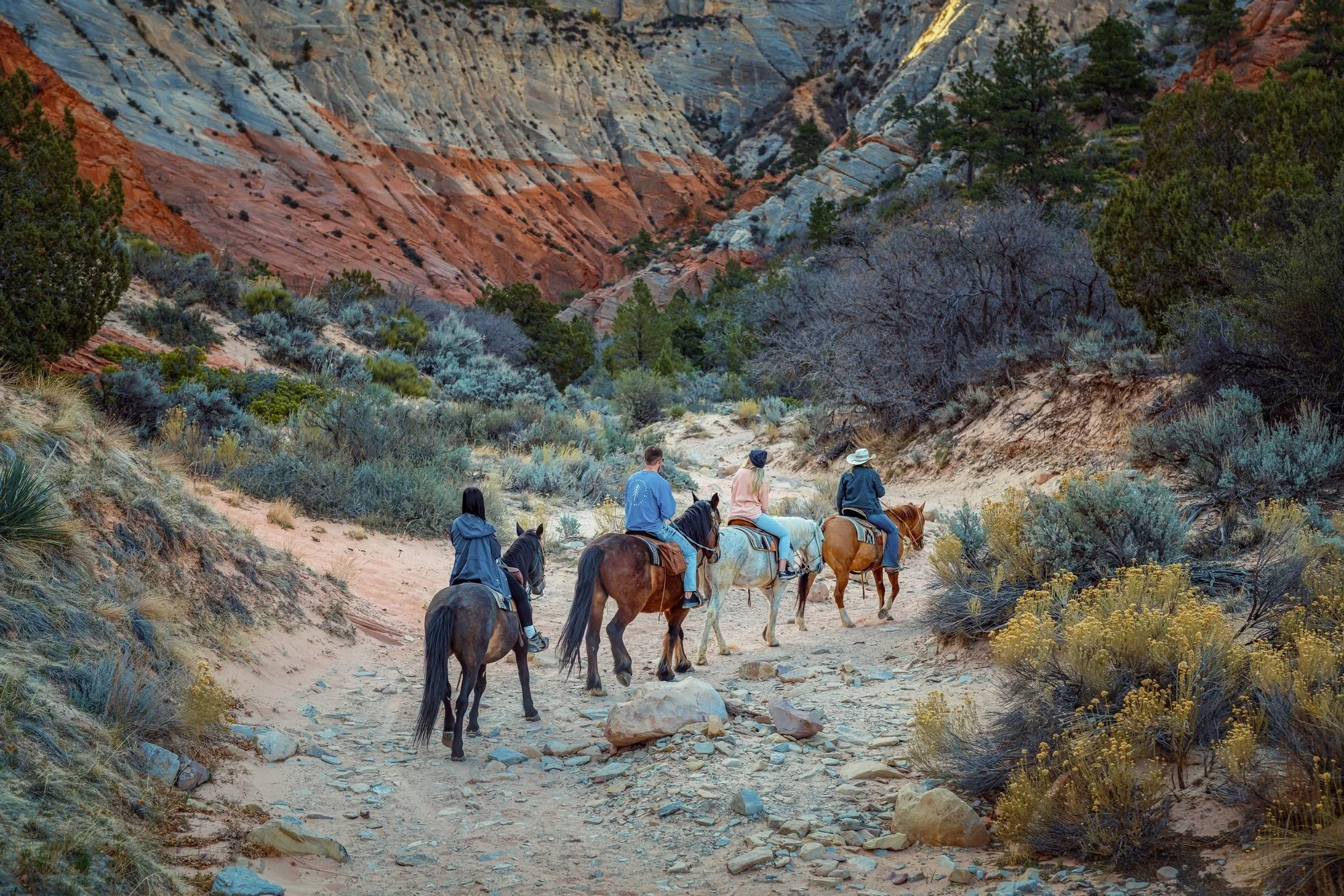 White Mountain Horseback Ride