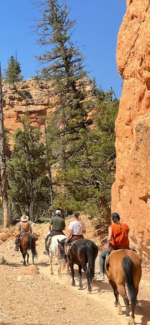 Half Day Horseback Adventure