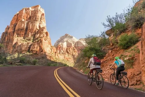 Traditional Bike Rental in Springdale
