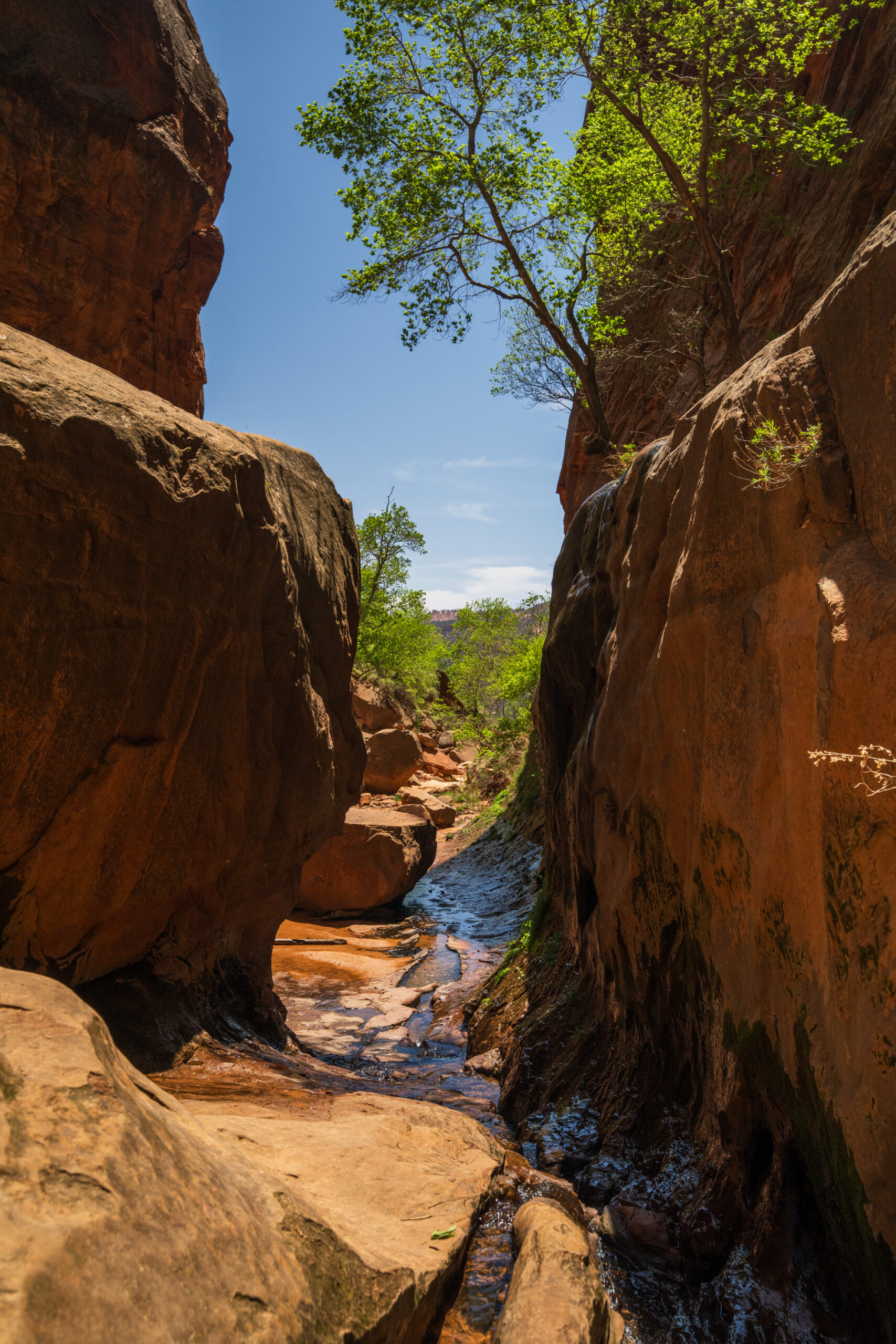 Lower Water Canyon