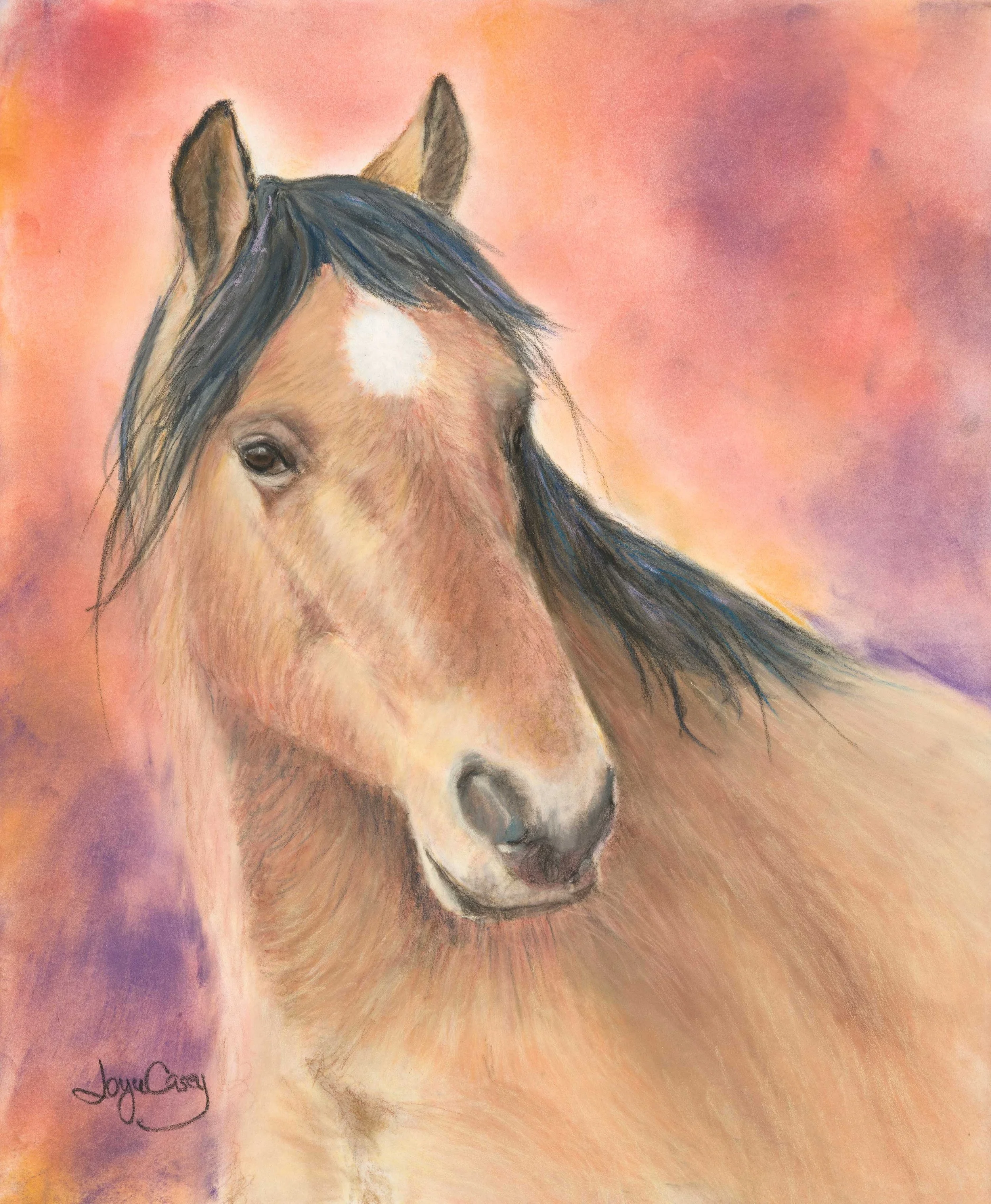 Hickory — American Wild Horse