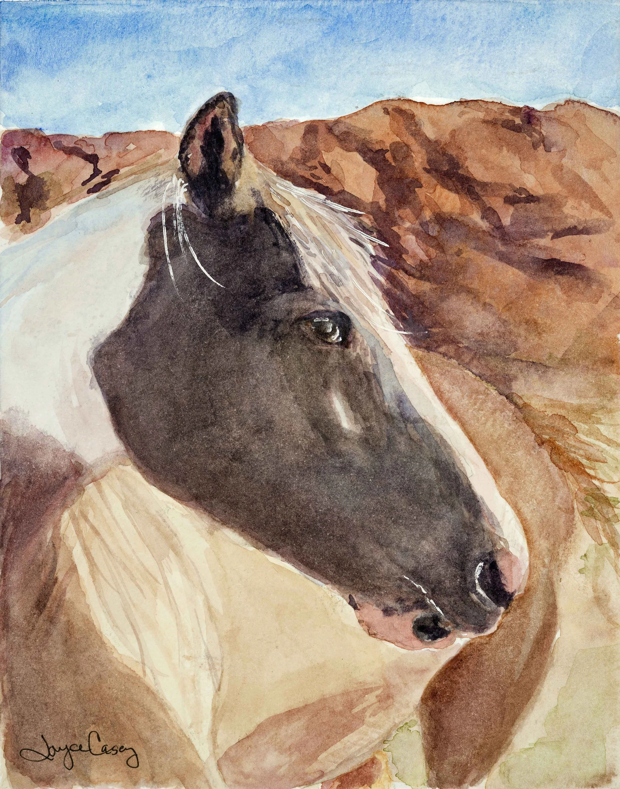 Scout Watercolor-web.jpg
