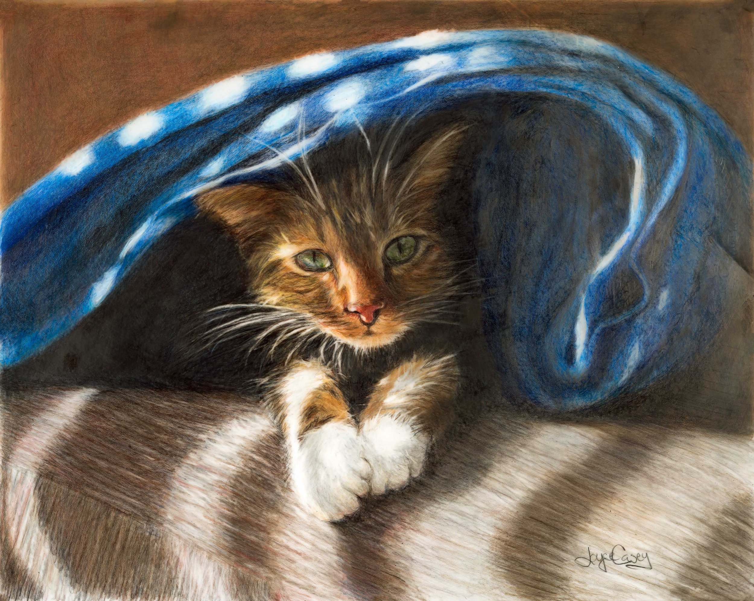 Undercover kitty - Colored Pencil