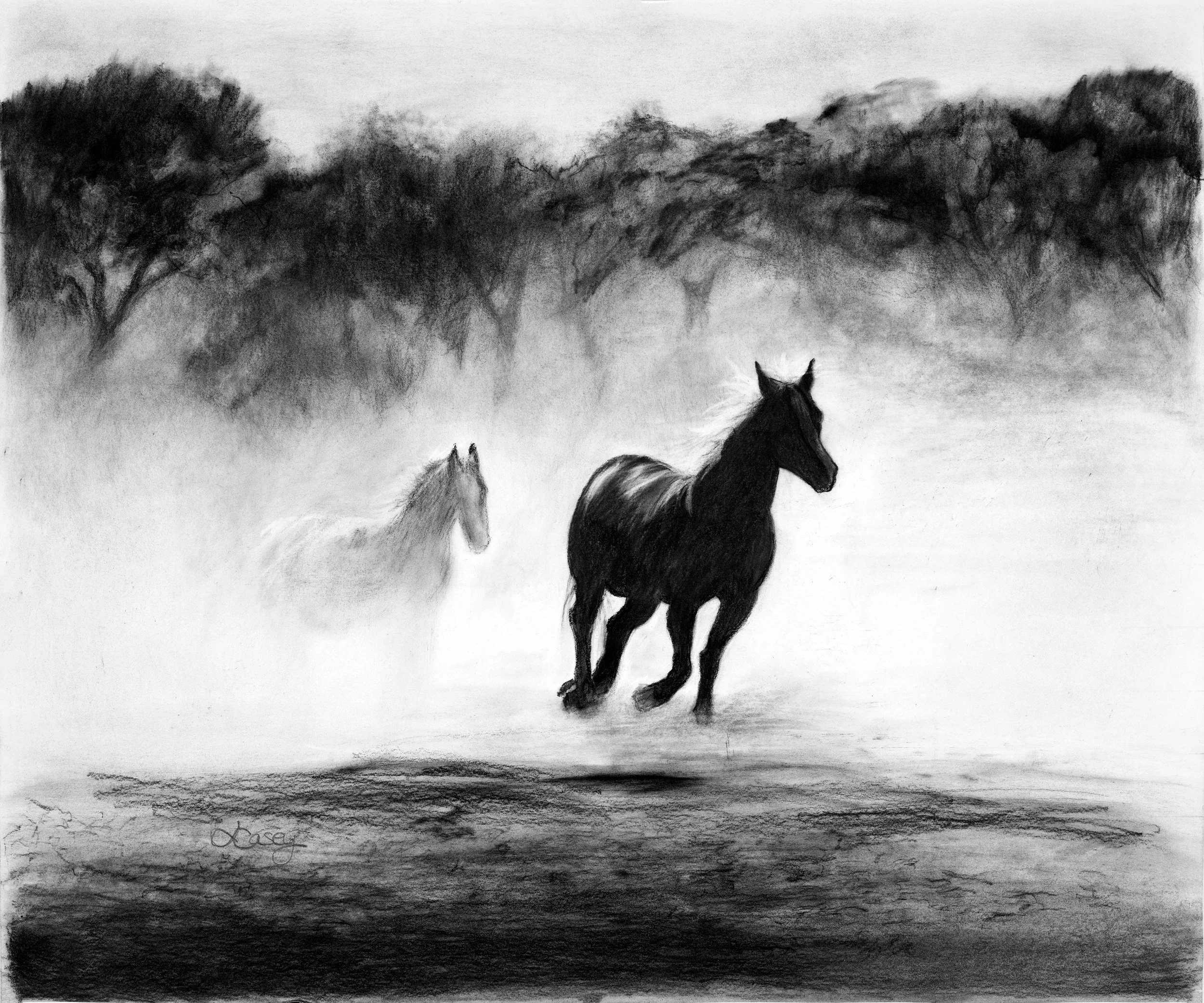running-horses-web.jpg