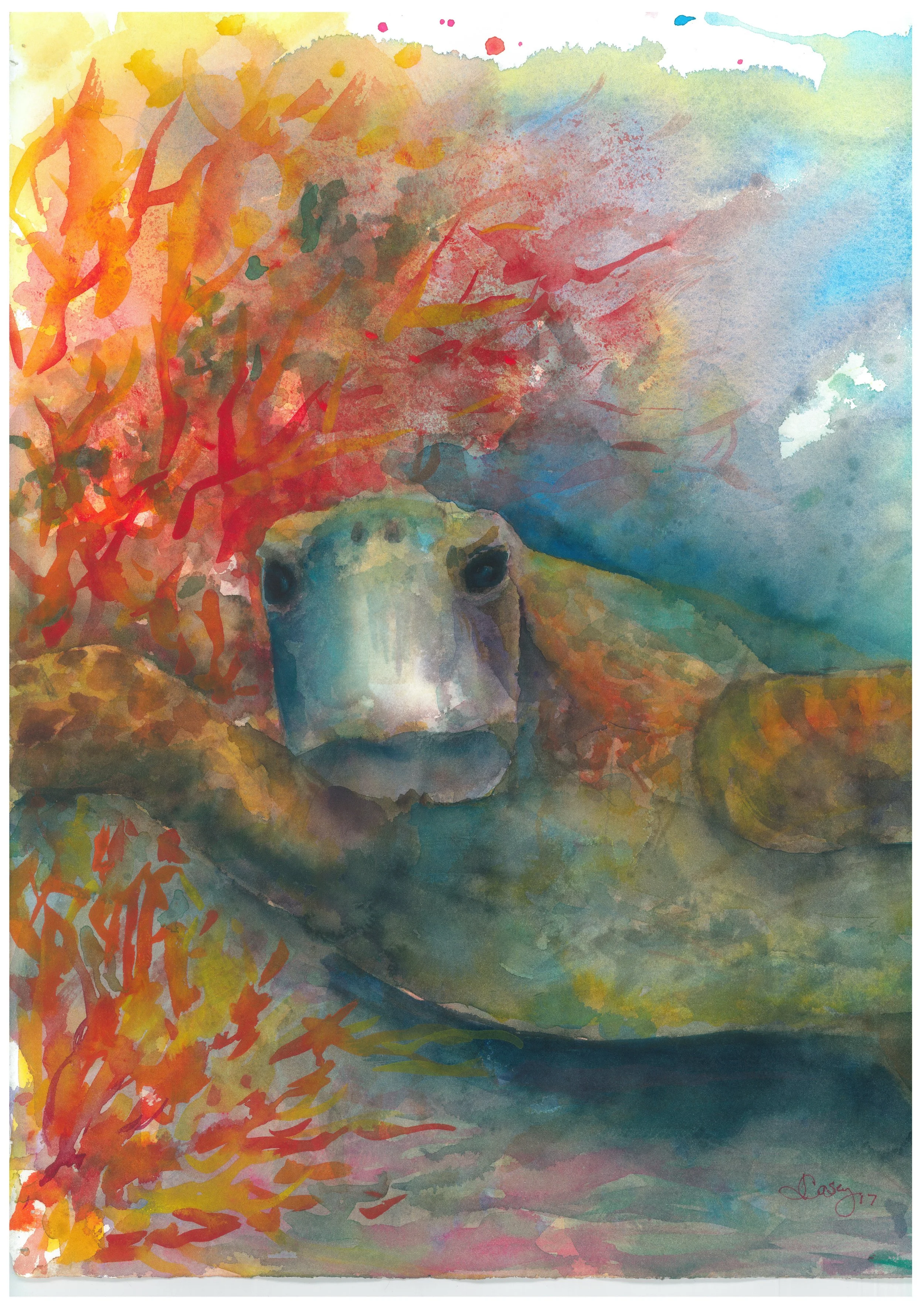Sea Turtle - Watercolor