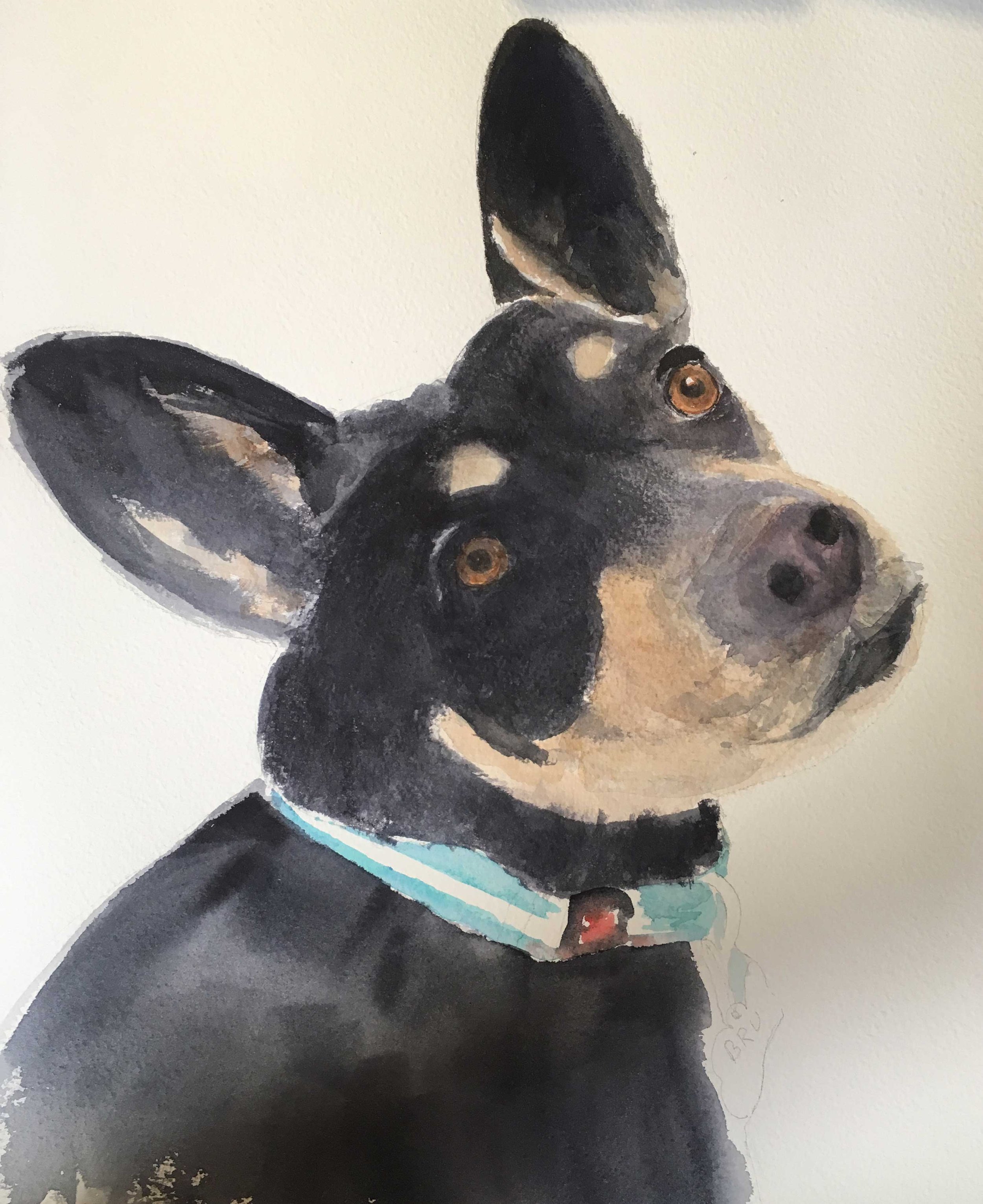 Bru - Watercolor