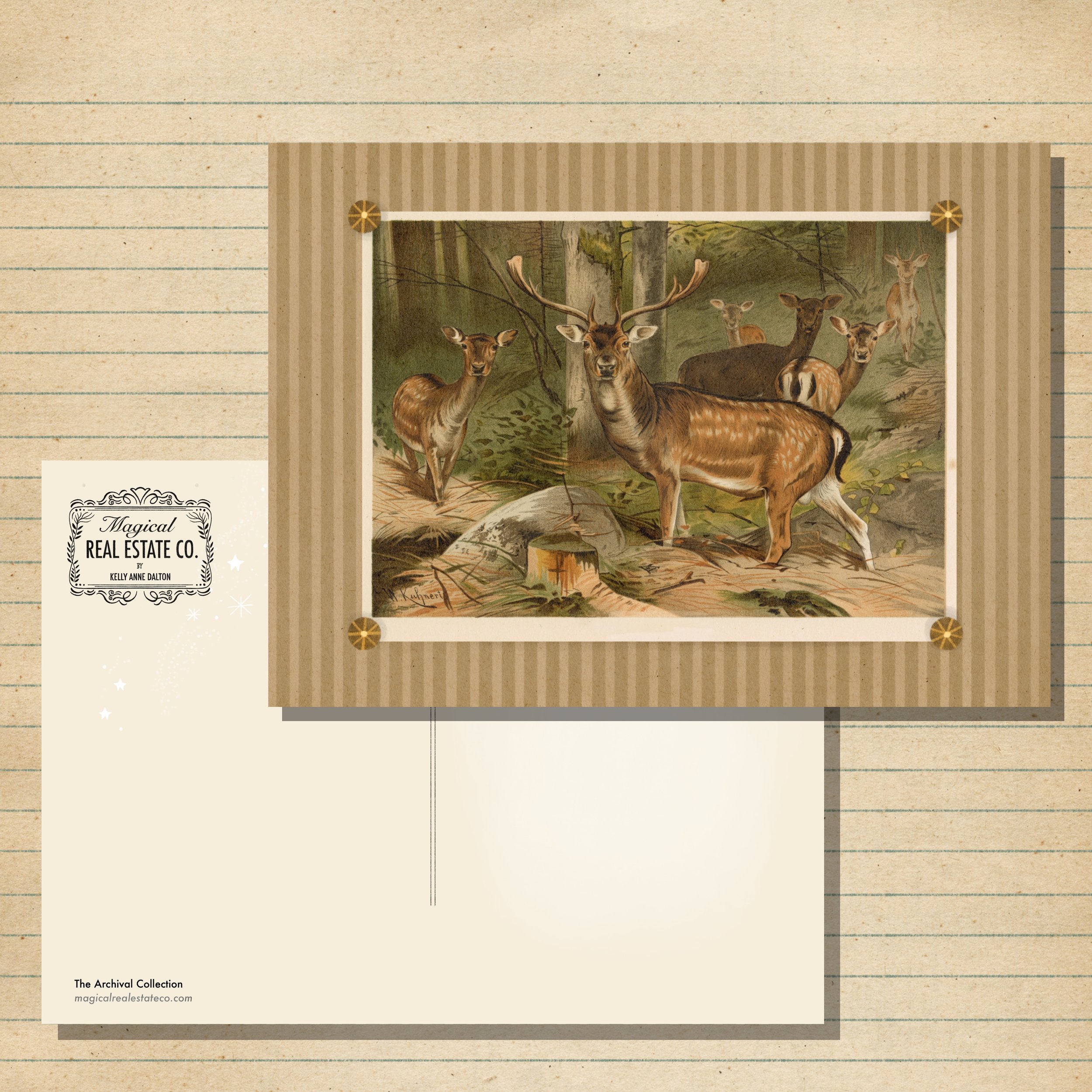 Woodland Deer . Magical Historical Society