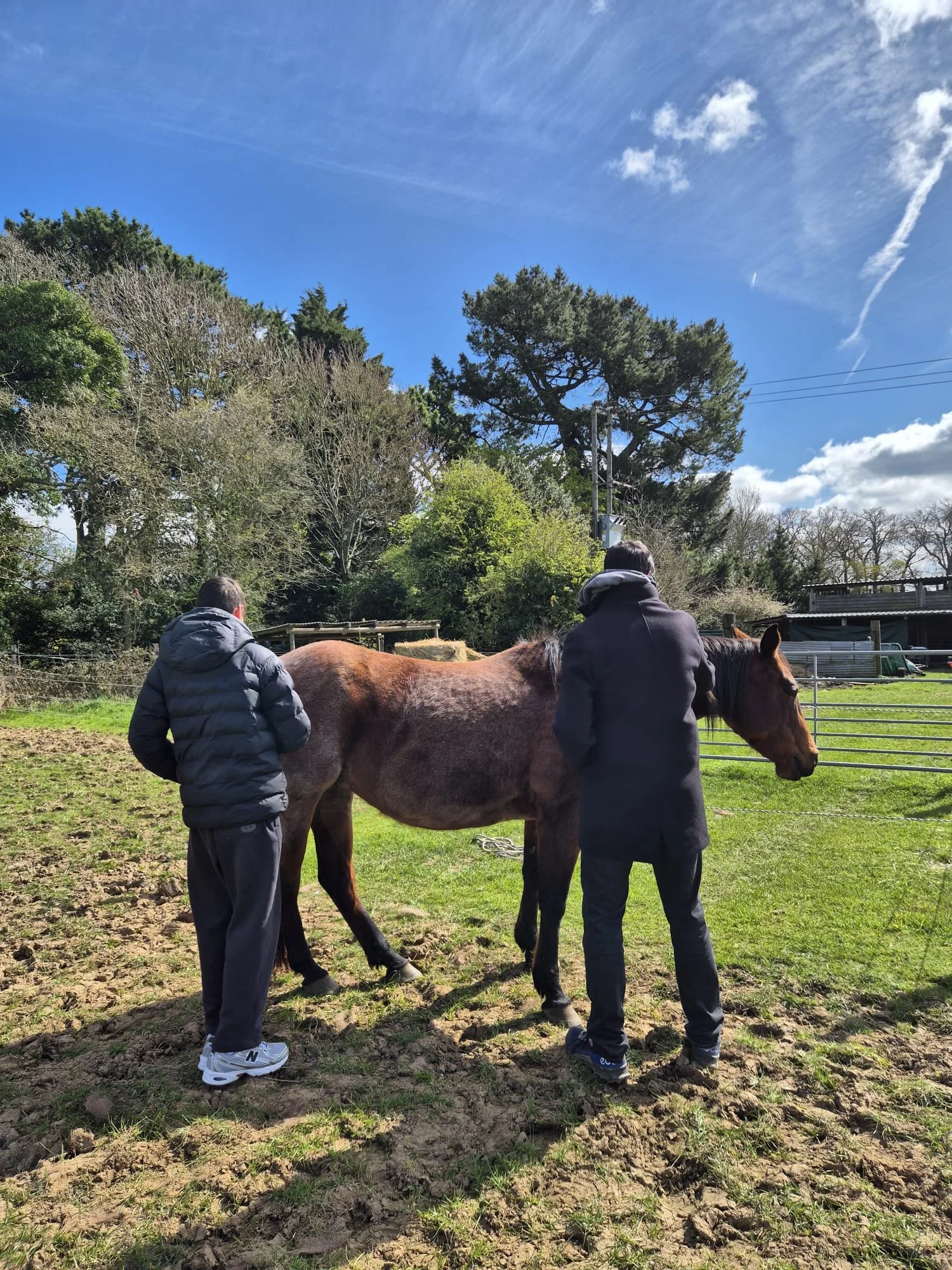 Claudia de Silva Equine Coaching (8).jpeg