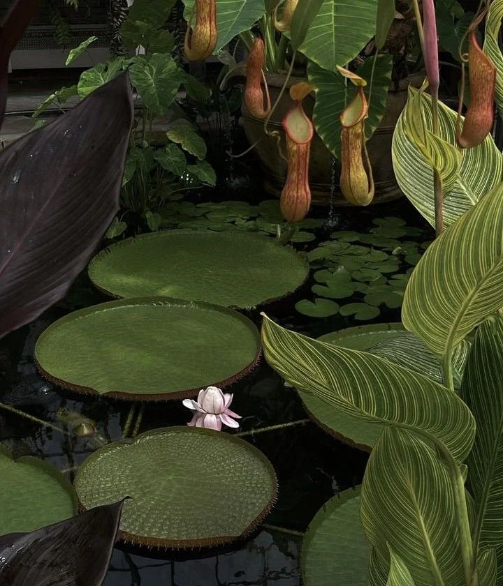 A pond with large green lily pads, a floating pink and white water lily flower, and various tropical plants with large leaves, including pitcher plants hanging above the water.