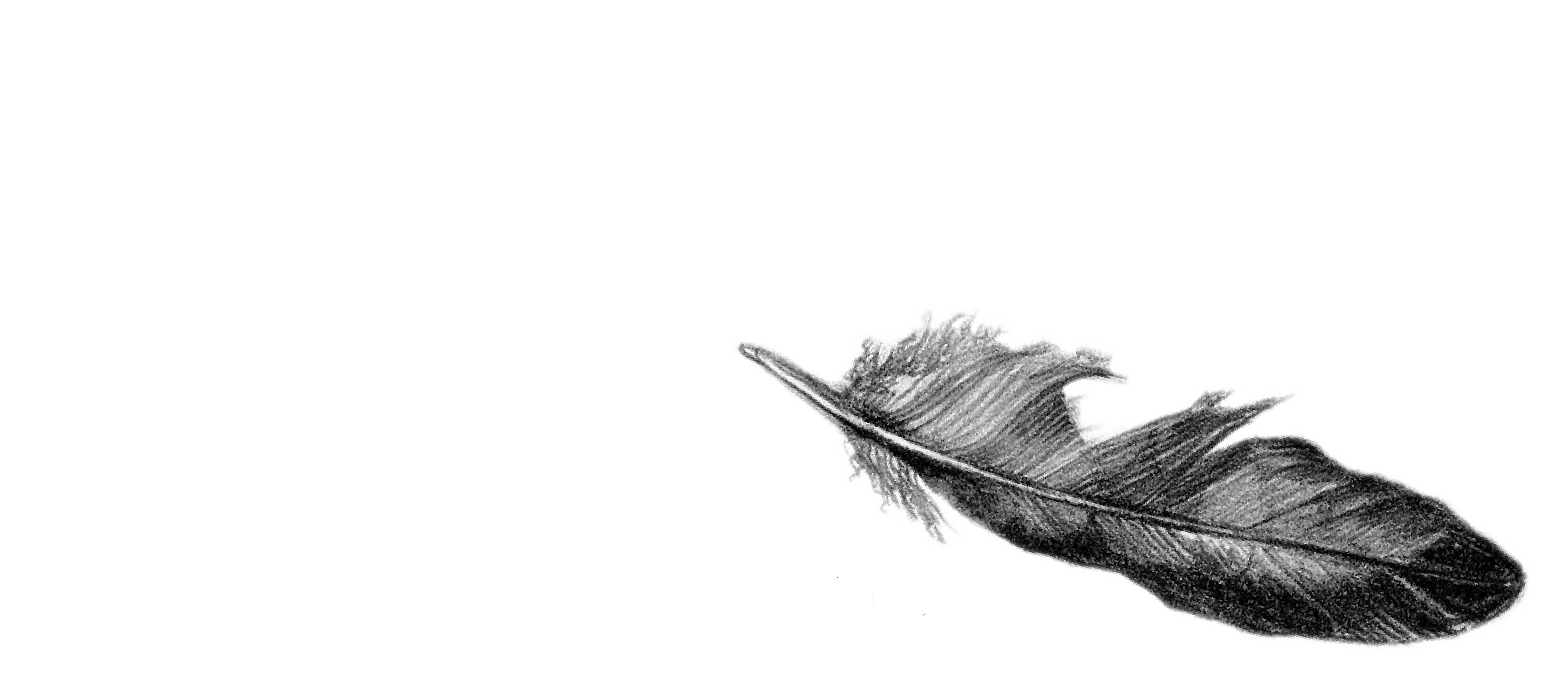 Pergolina_Logo-04 copy.png