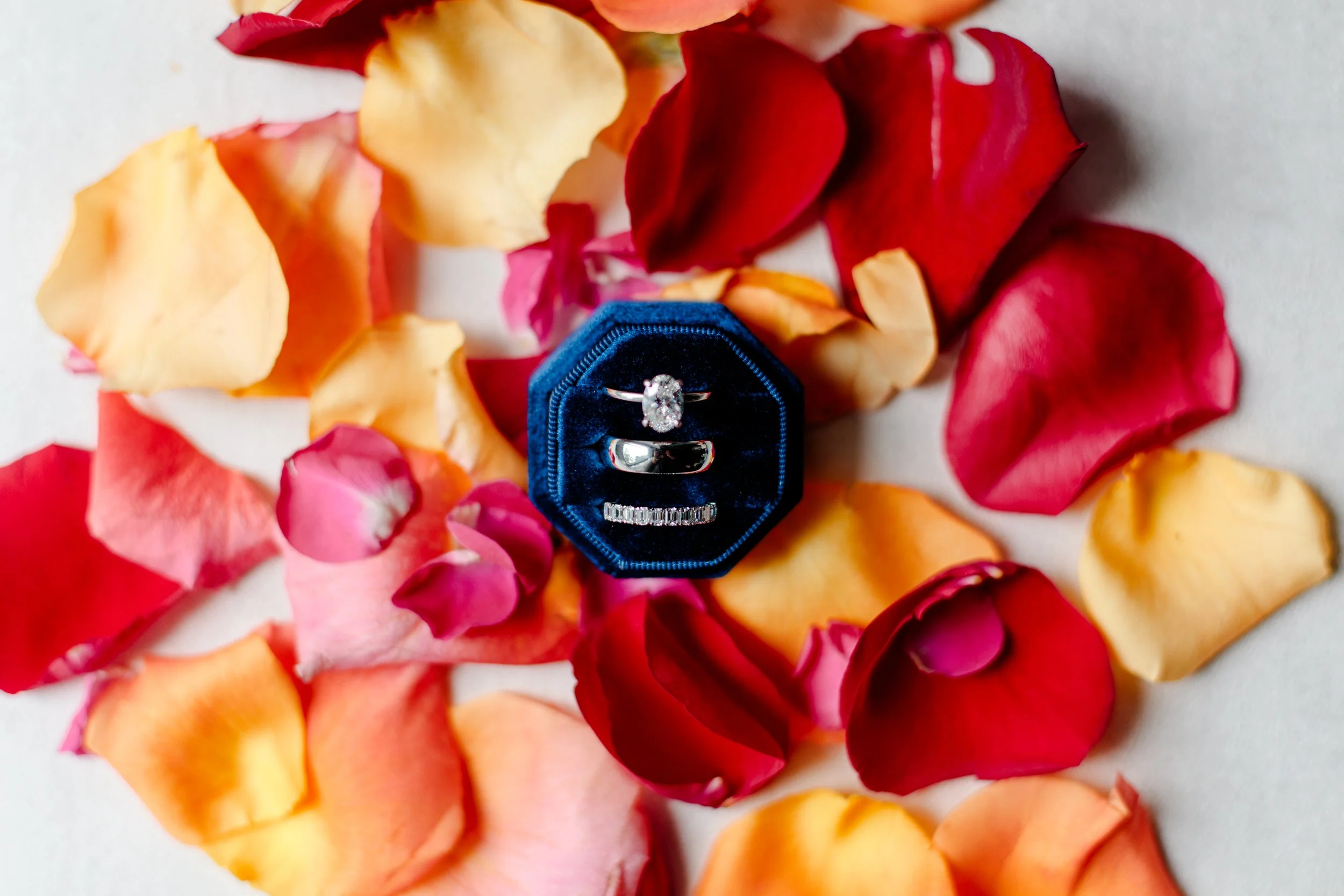 Engagement ring, A blue velvet ring box with three silver rings, one with a large diamond, surrounded by colorful rose petals on a white background.