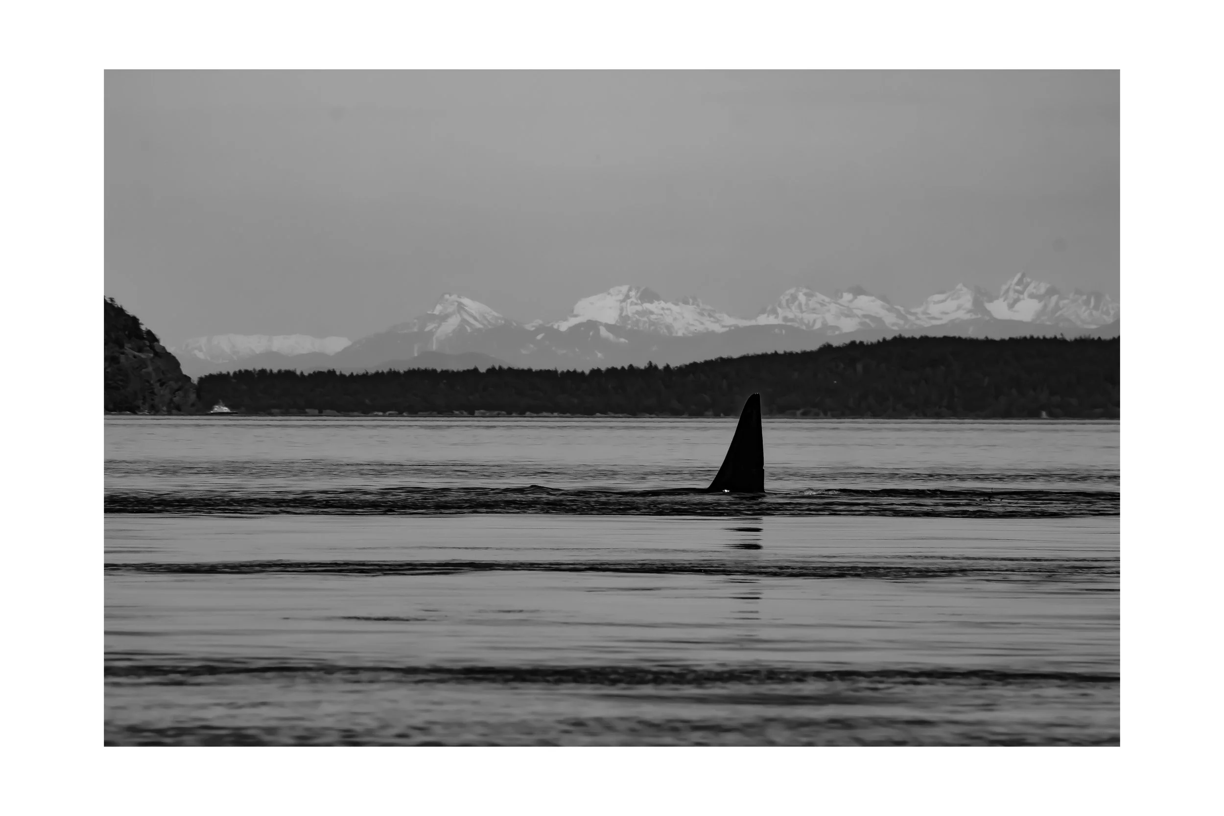 _MG_9452.jpg