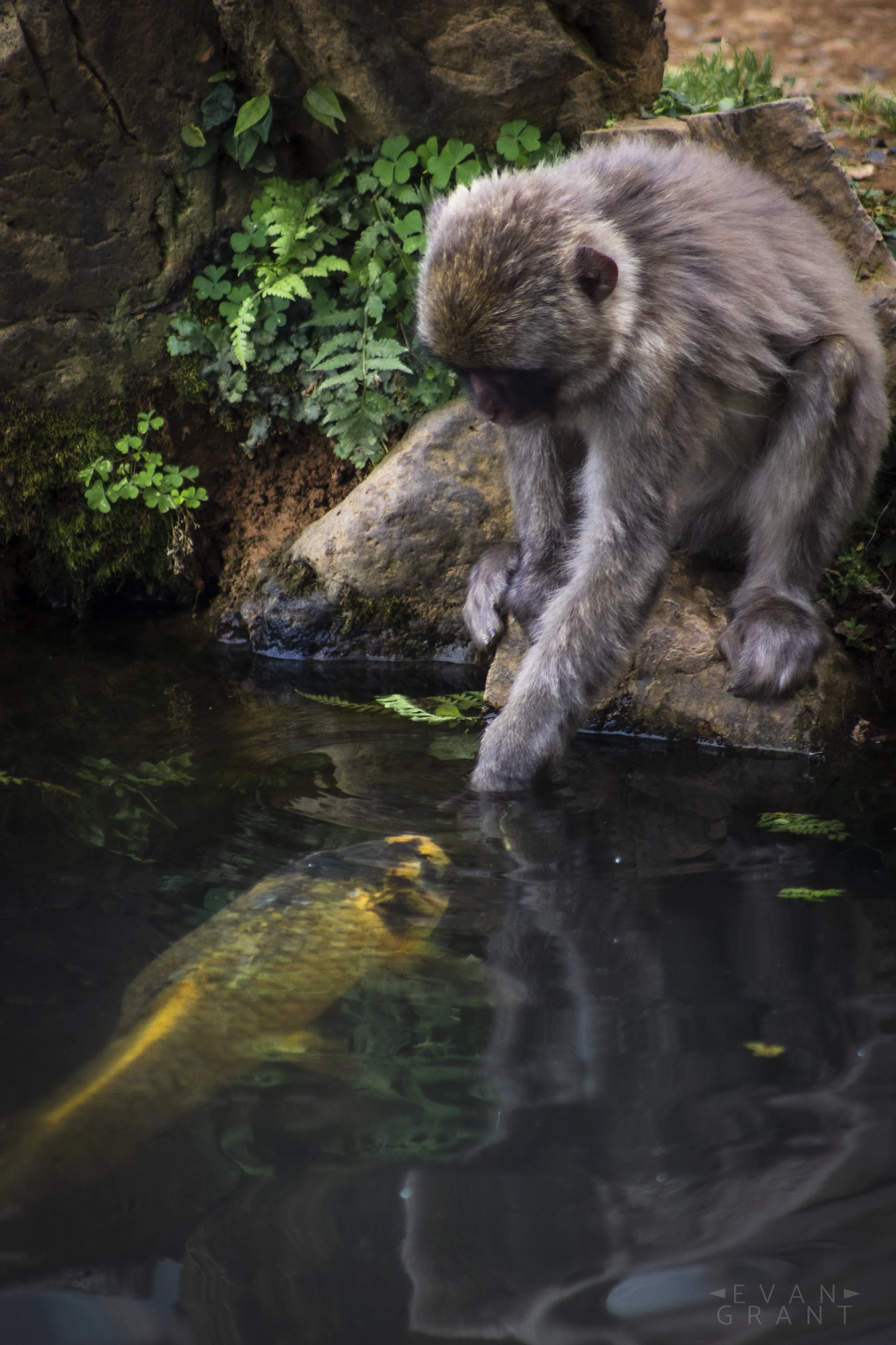 Curiosity