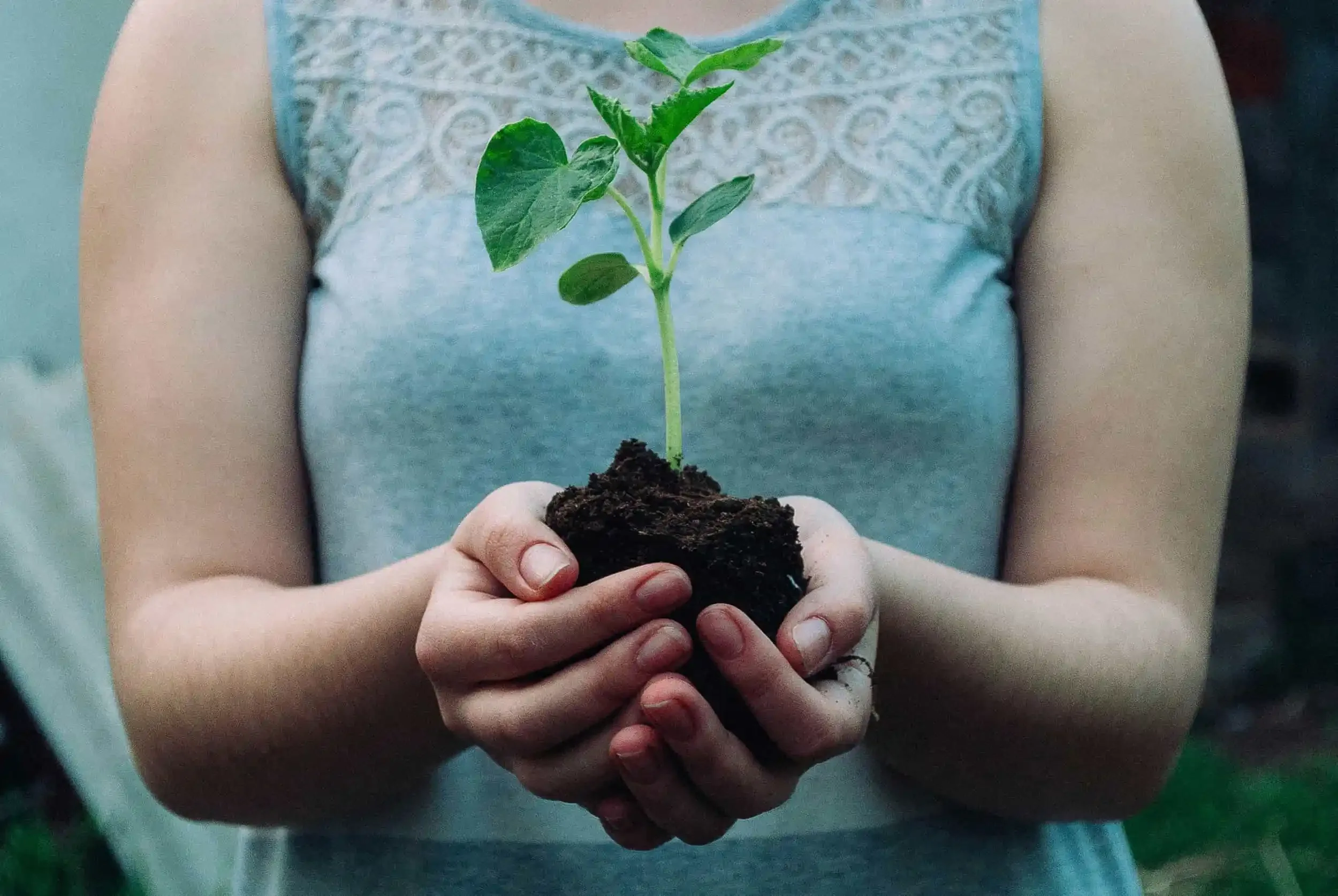 A person holds a small green plant in soil with both hands, wearing a light blue sleeveless top.
