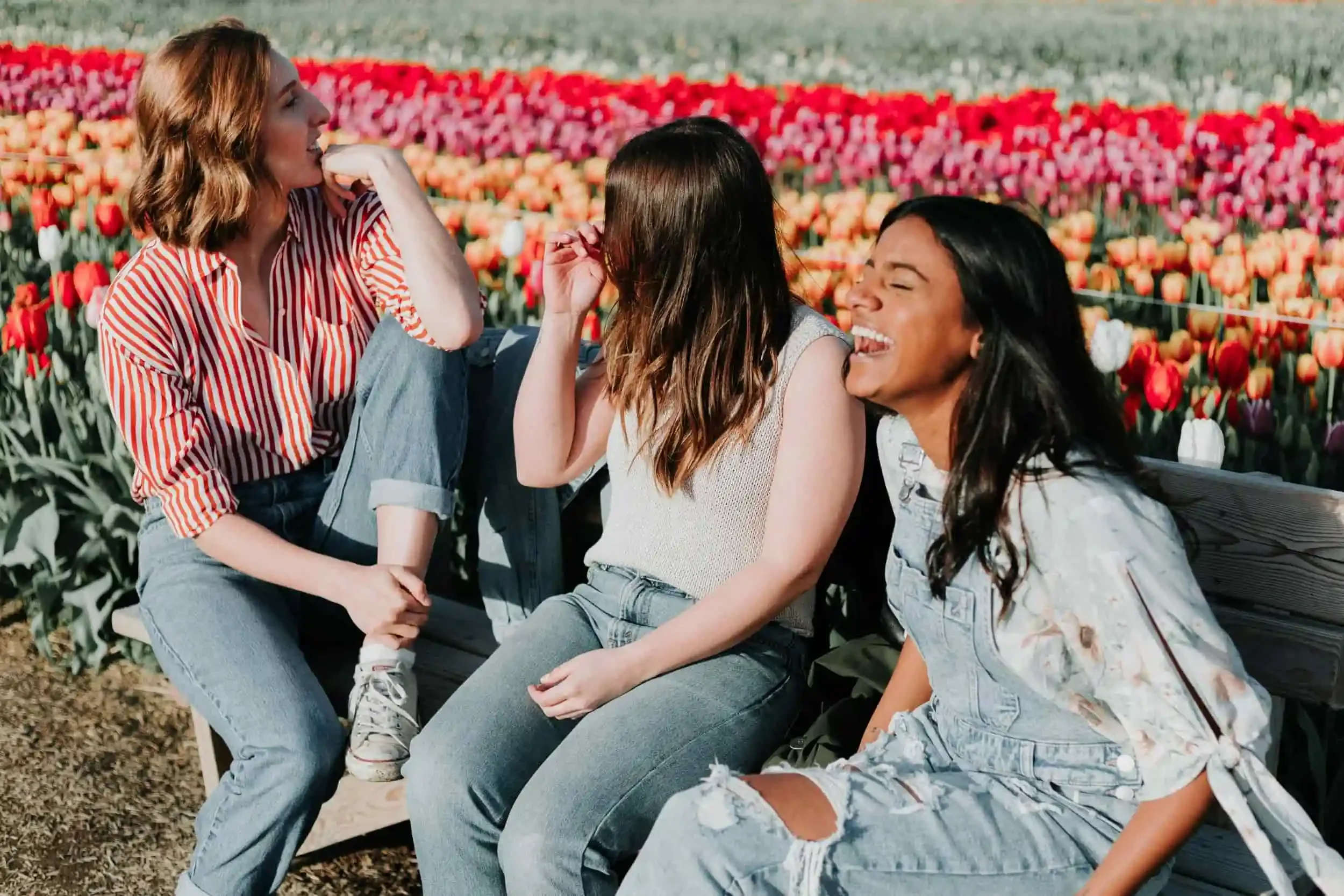 Three young women laughing together on a bench in front of a colorful tulip field on a sunny day.