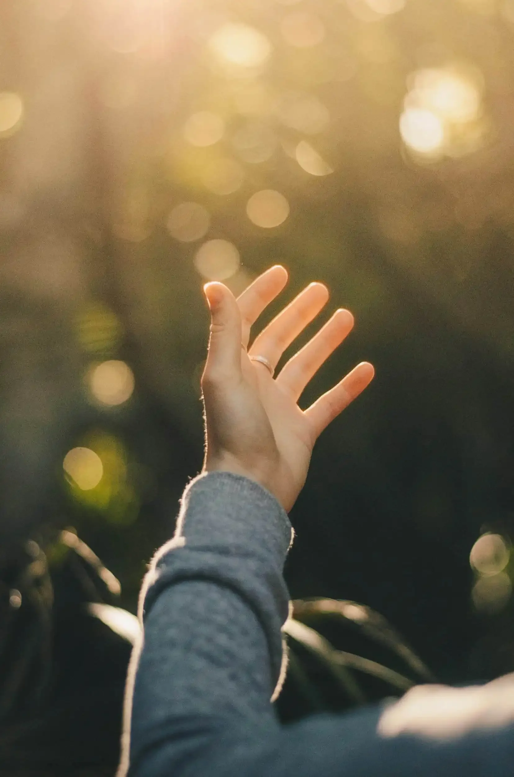 A hand reaching up toward warm sunlight, with a blurred background of greenery and glowing light.