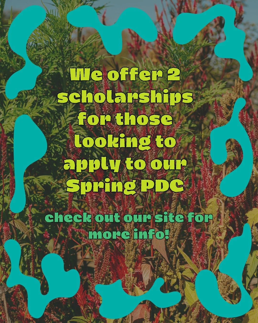 SPI is highly committed to accessibility for our program as well food access and educational training as a whole.  We love that we're able to offer 2 scholarships for our courses which can help lighten the load by taking the registration fee down to 