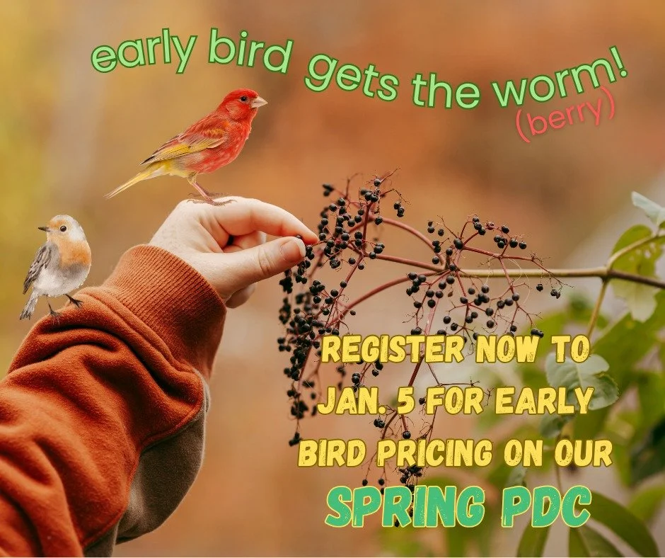 Be sure to grab your spot in our Spring Course while early bird pricing last! 

Or, what better gift to give this holiday than the investment in education, design certification, and bettering ourselves, planet, and community.

Link in bio ~ See you t