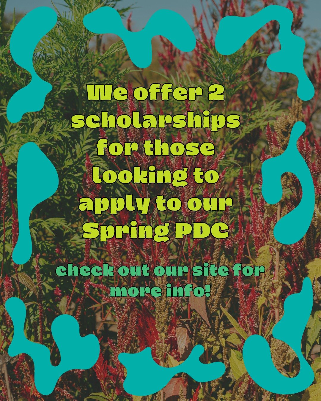 SPI is highly committed to accessibility for our program as well food access and educational training as a whole.  We love that we're able to offer 2 scholarships for our courses which can help lighten the load by taking the registration fee down to 