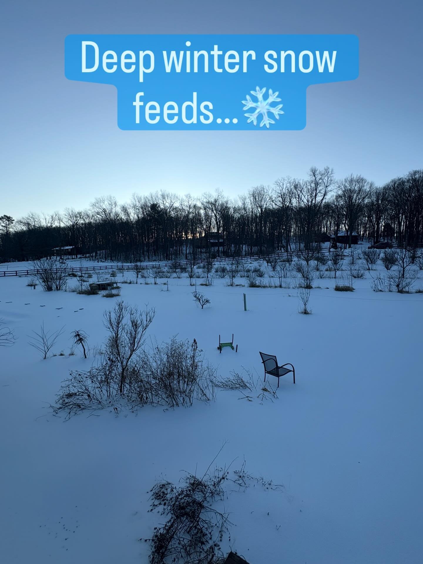 Deep winter cold feeds high summer bounty #seasons