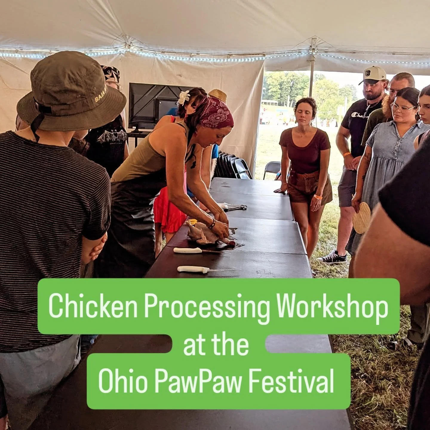 Our gal Betsy, crushing it at @pawpawfest last weekend in Ohio!  She taught the powerful skill of homestead chicken processing to a great group of eager learners, hosted by the @motherearthnewsmag tent, which had all kinds of great speakers and topic