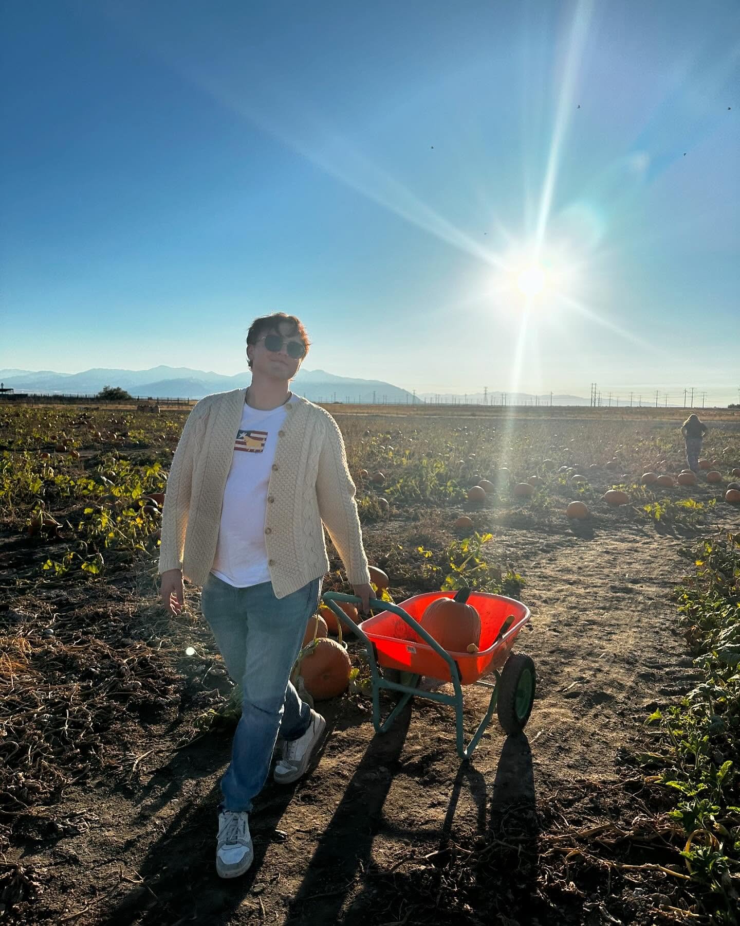 Liar, liar, pumpkin eater