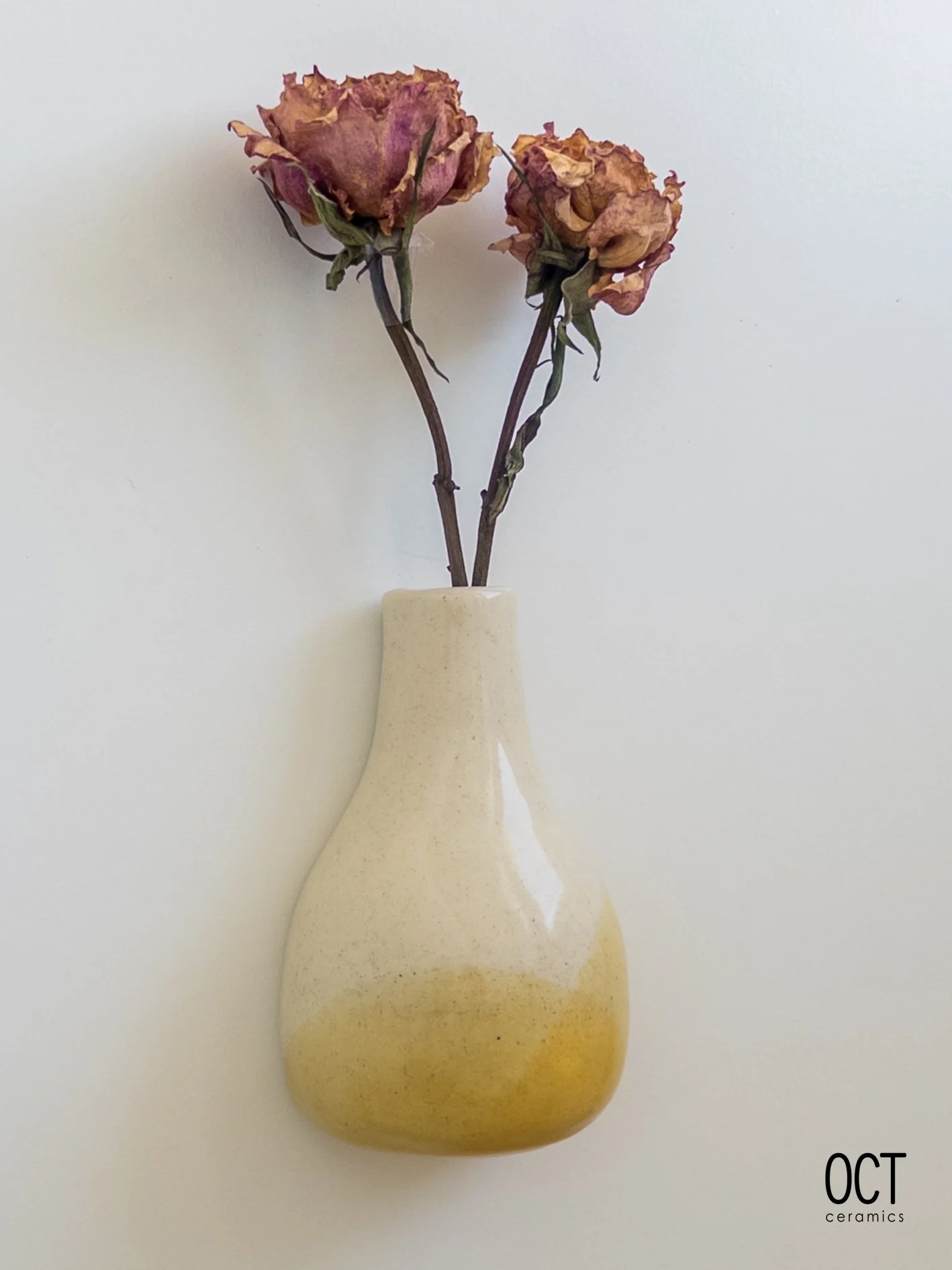 A ceramic vase with a yellow accent color hung on a wall and holding two dried pink roses with wilted petals against a plain white background.