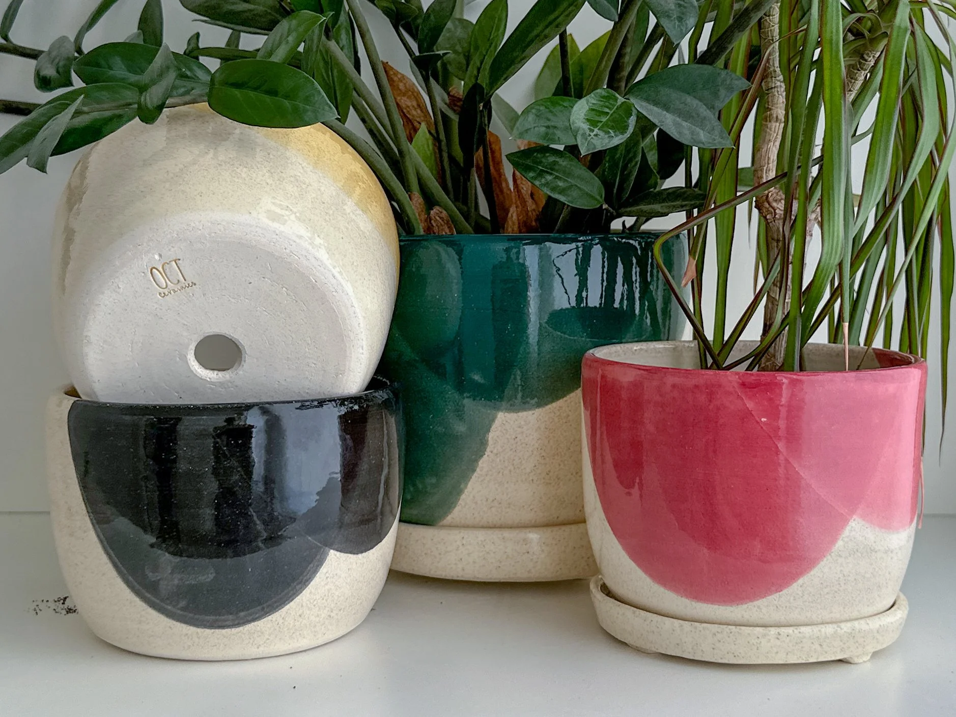 A set of four ceramic plant pots with leafy green plants, featuring different colors and textures, arranged on a flat surface.