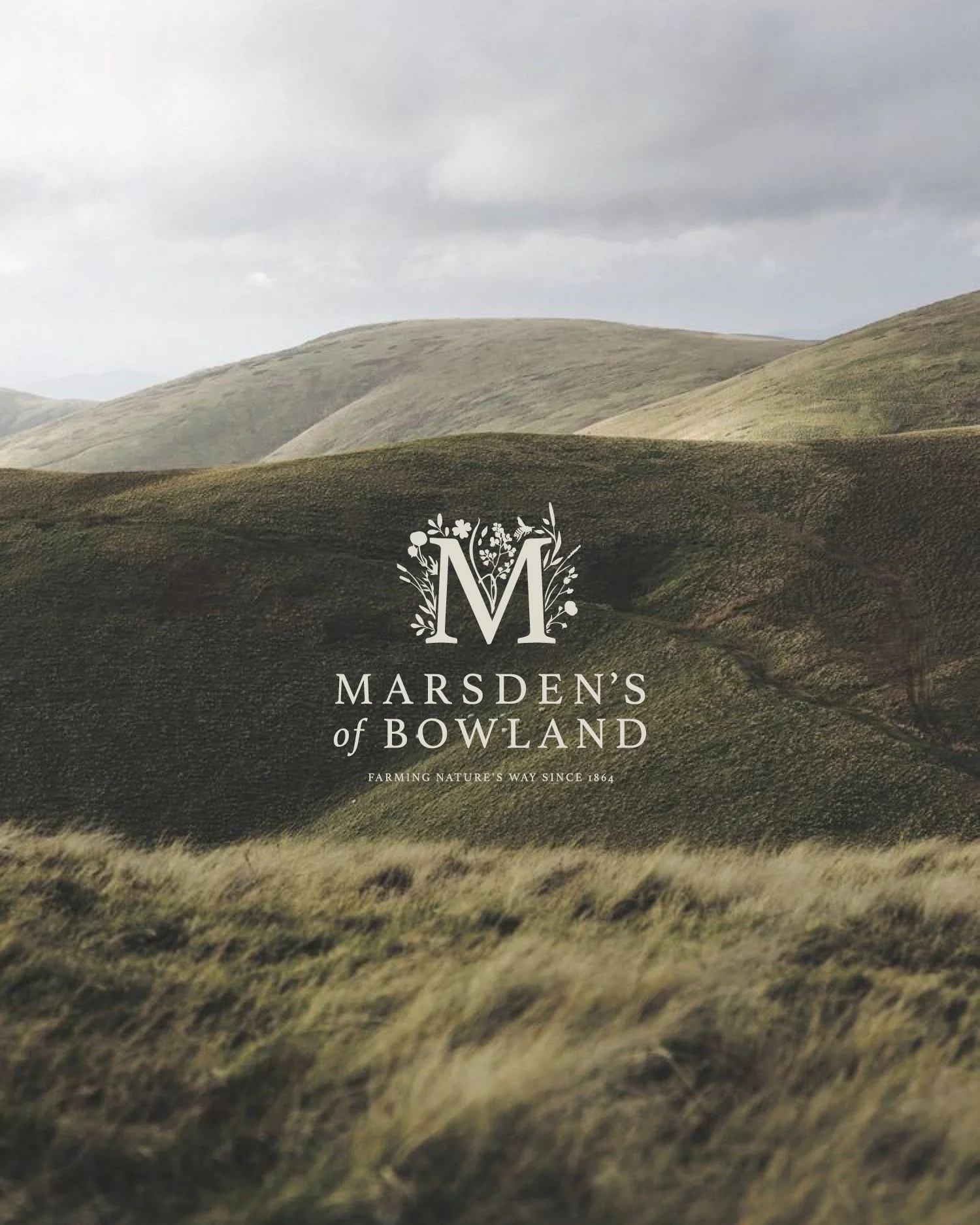 Custom logo design services for startups and small businesses, tailored to your brand’s identity.