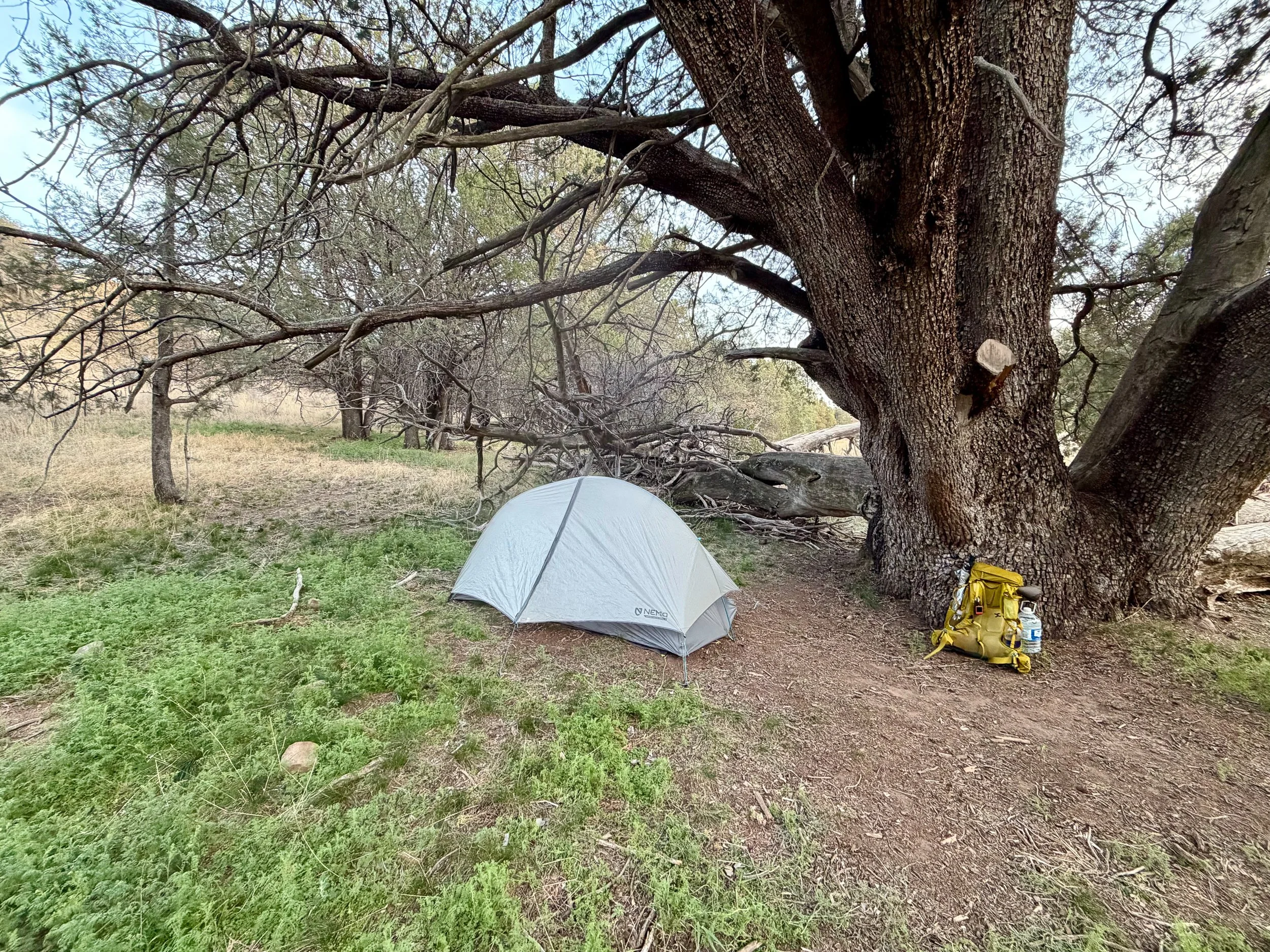  Tent spot where coyotes and trail runners were near 