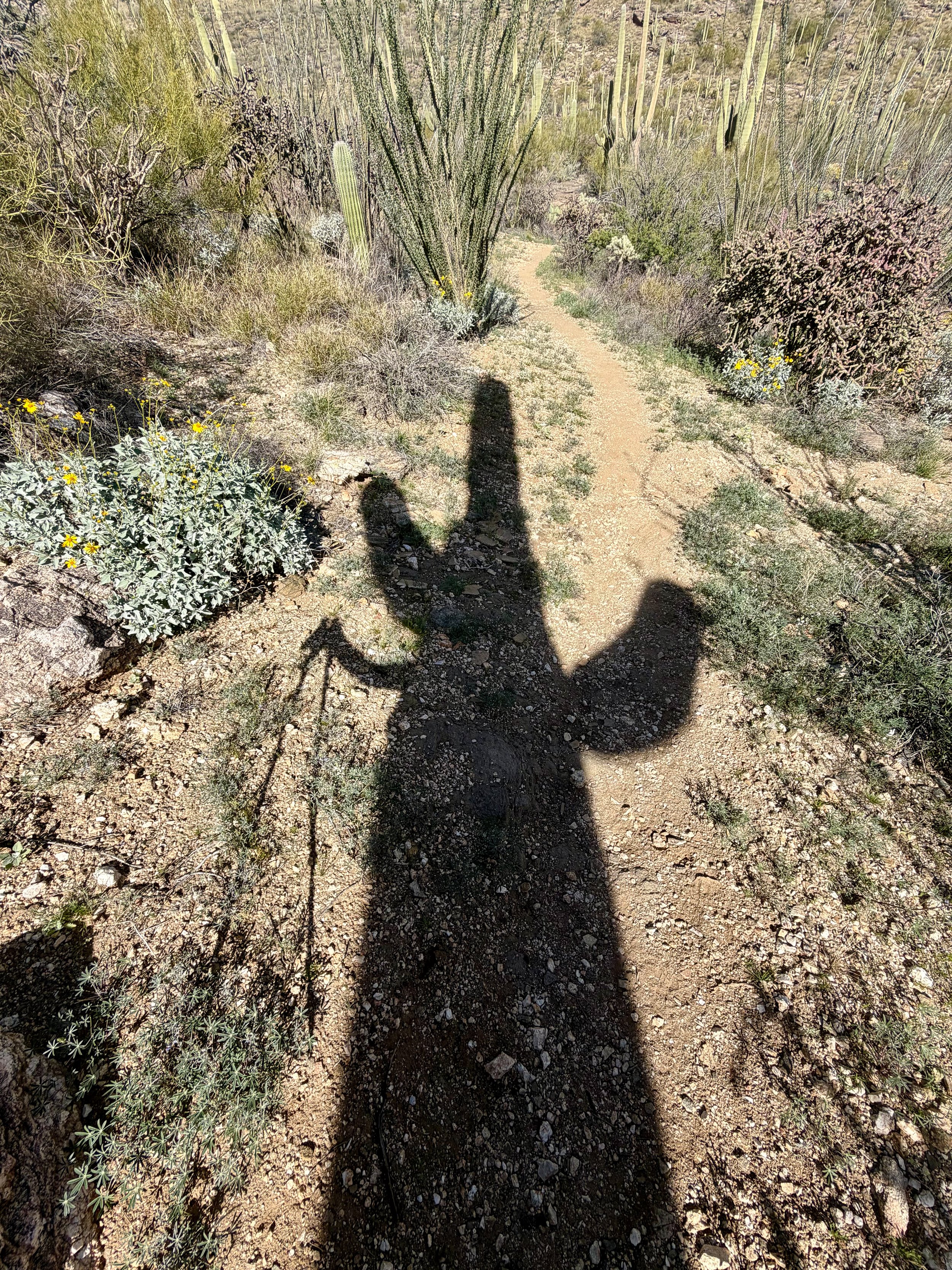  Thanks for the shade! 