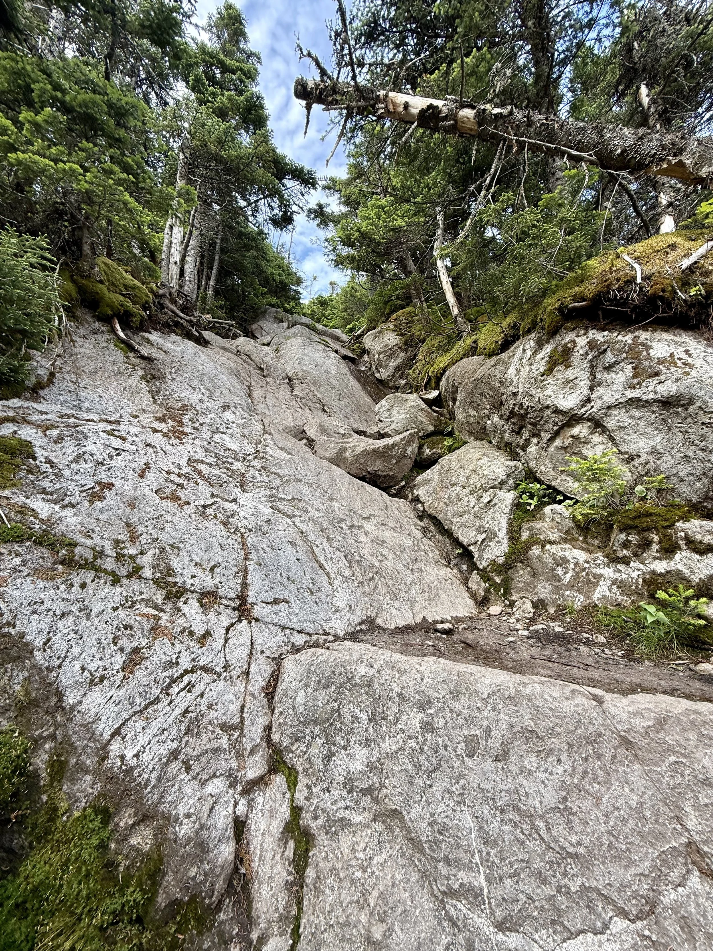  Rock walls to climb 