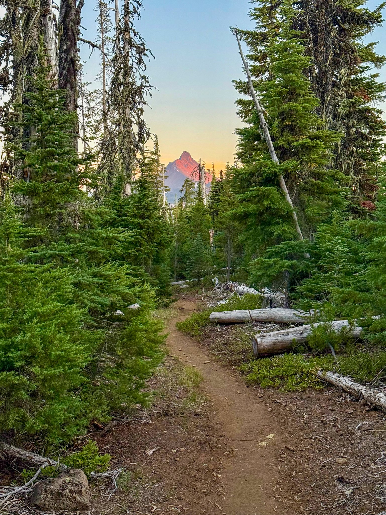  PCT OR &amp; WA Section F for a quick overnight on the way to Bags’ house 