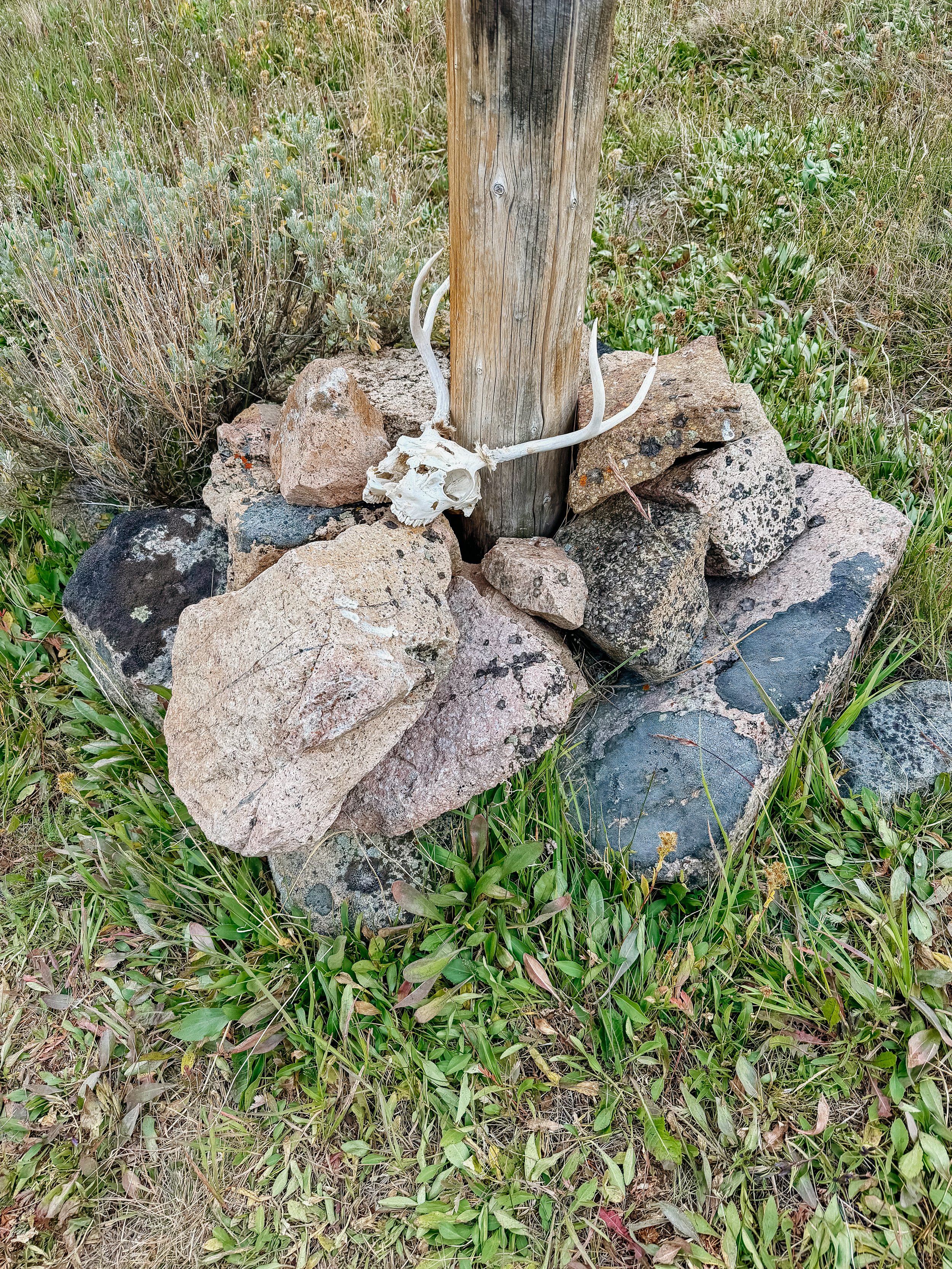 RIP