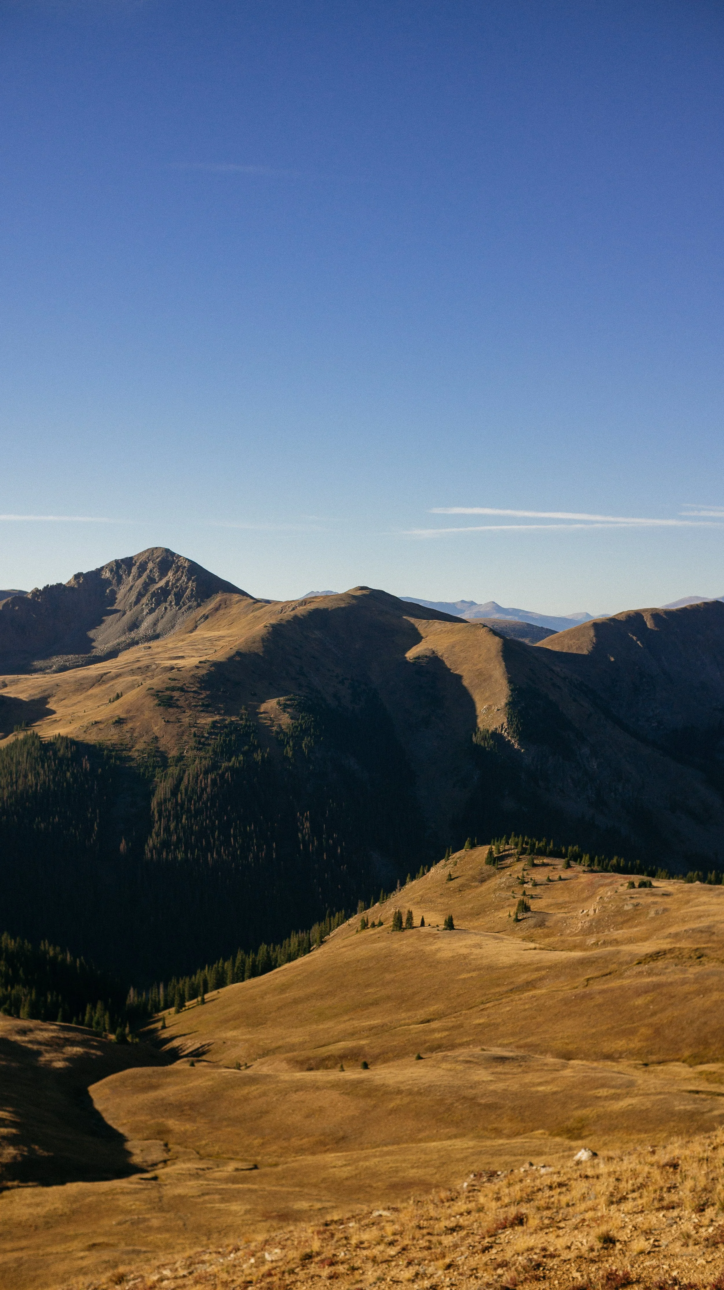 Vistas