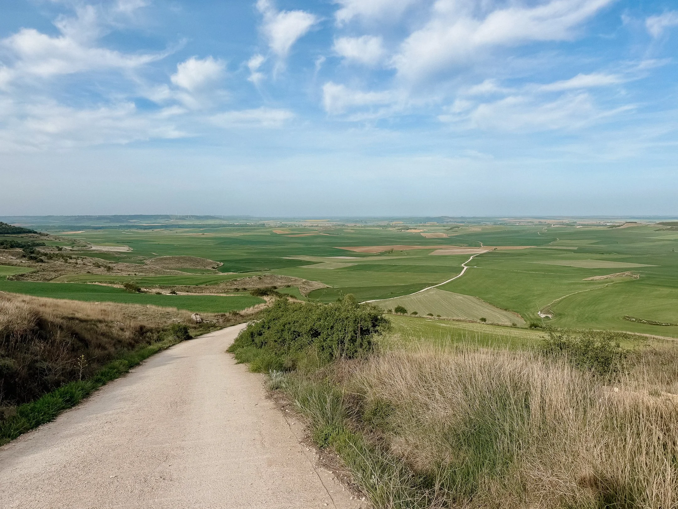 Camino de Santiago Frances