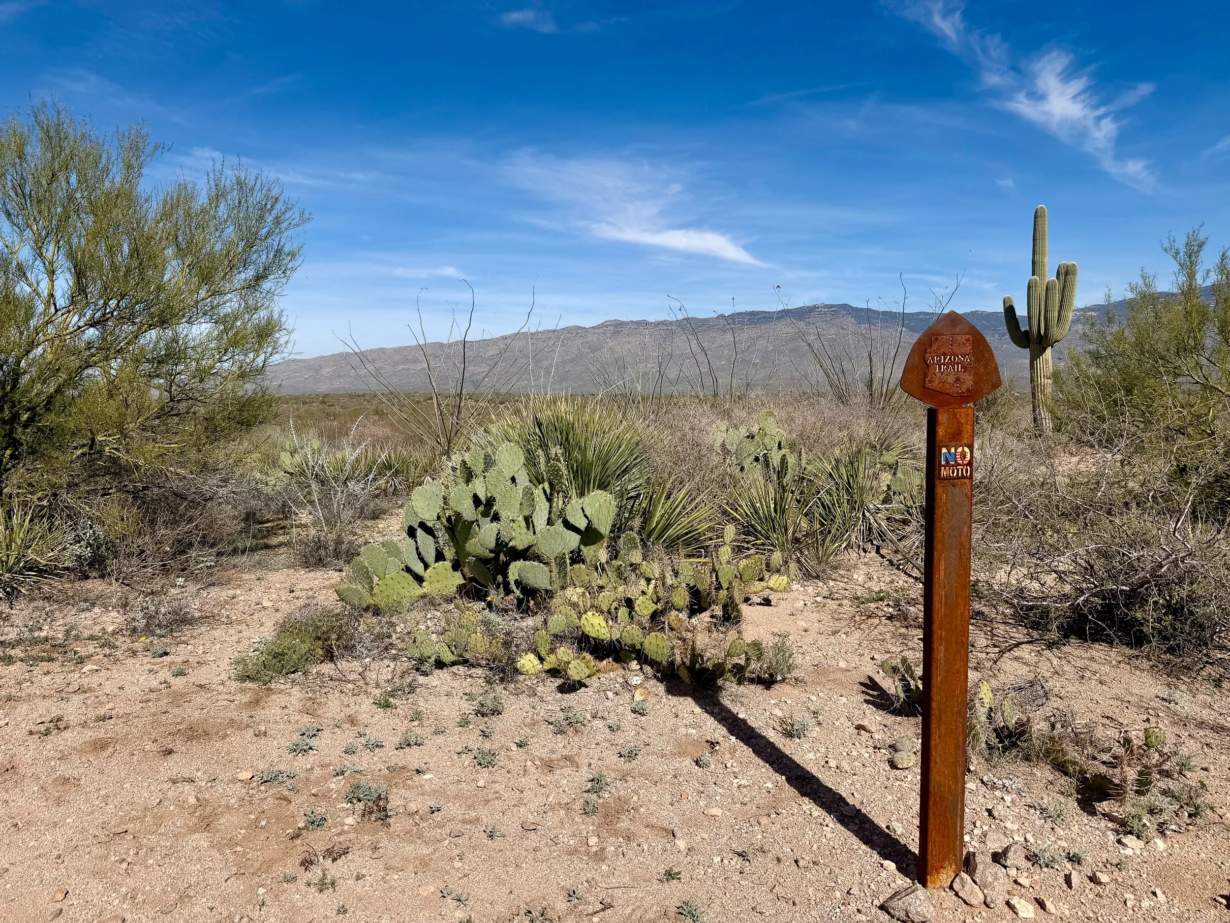  The signage is perfect 