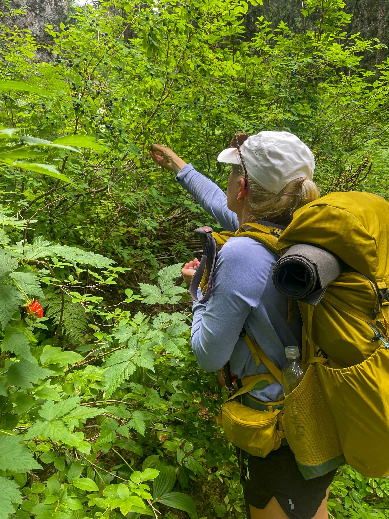  It was berry season and I could not be stopped 