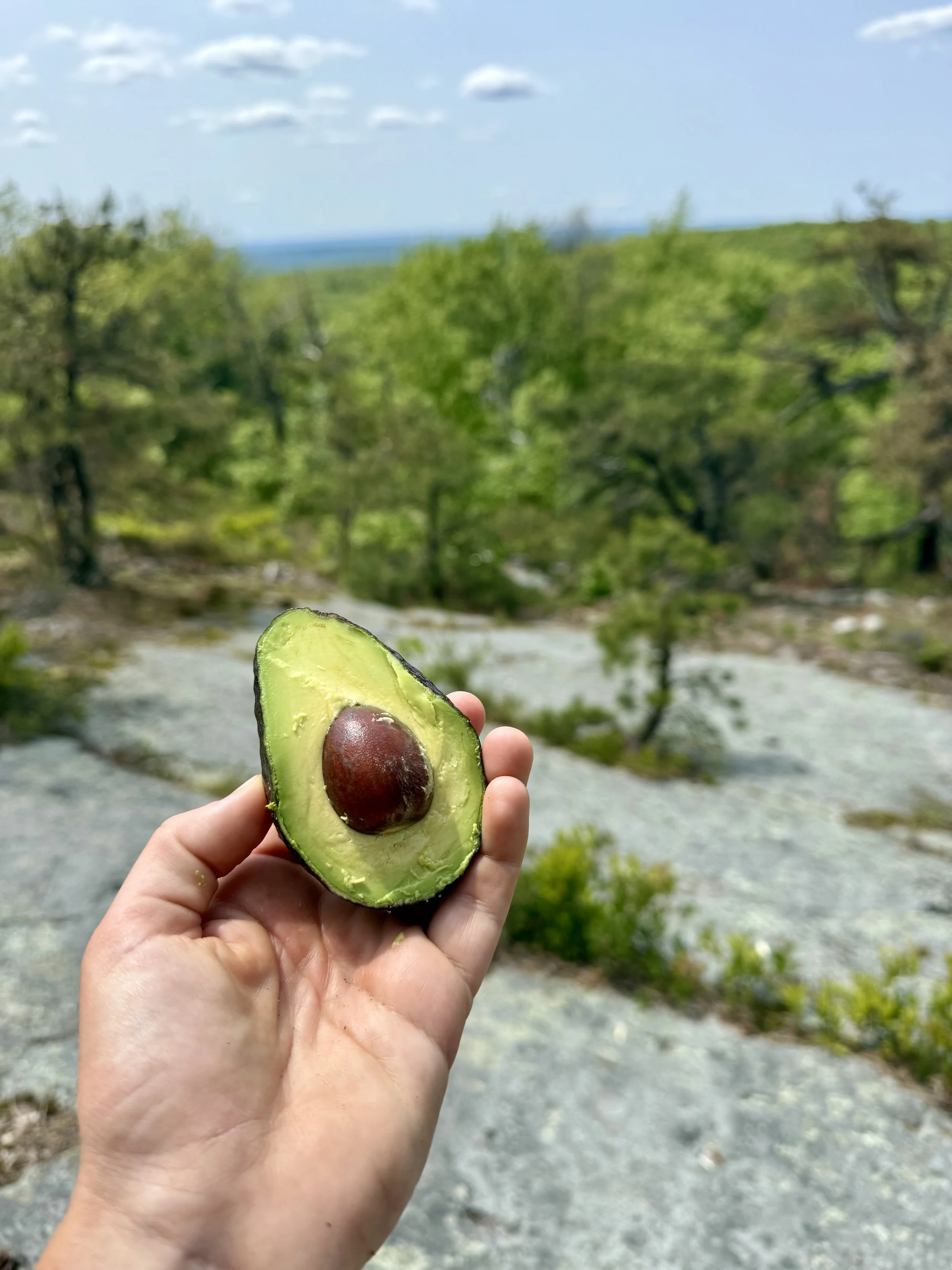  Perfect avocado for a good lunch spot - until the flies came.  