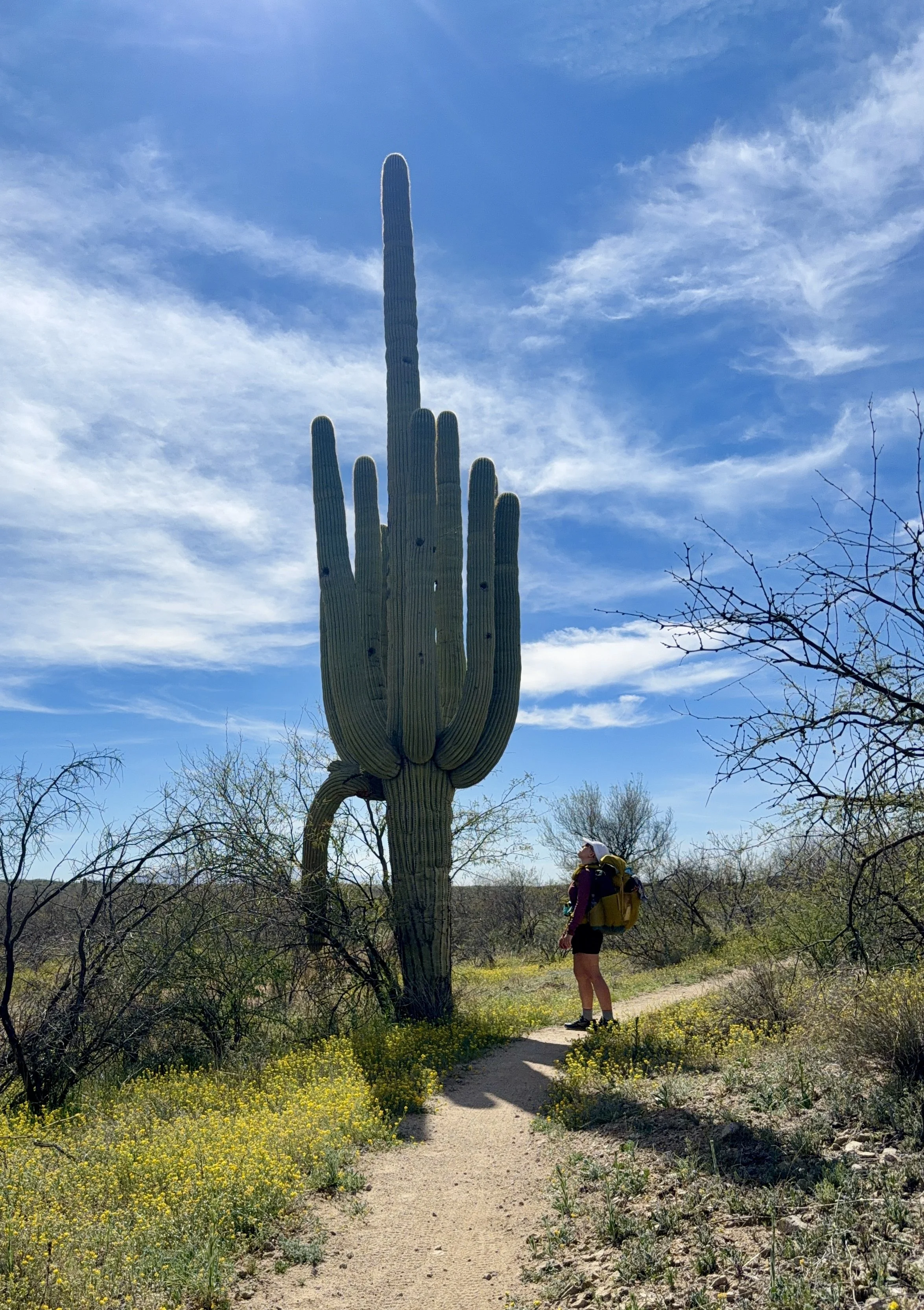 Arizona Trail Hike:  Mile 117 - 161