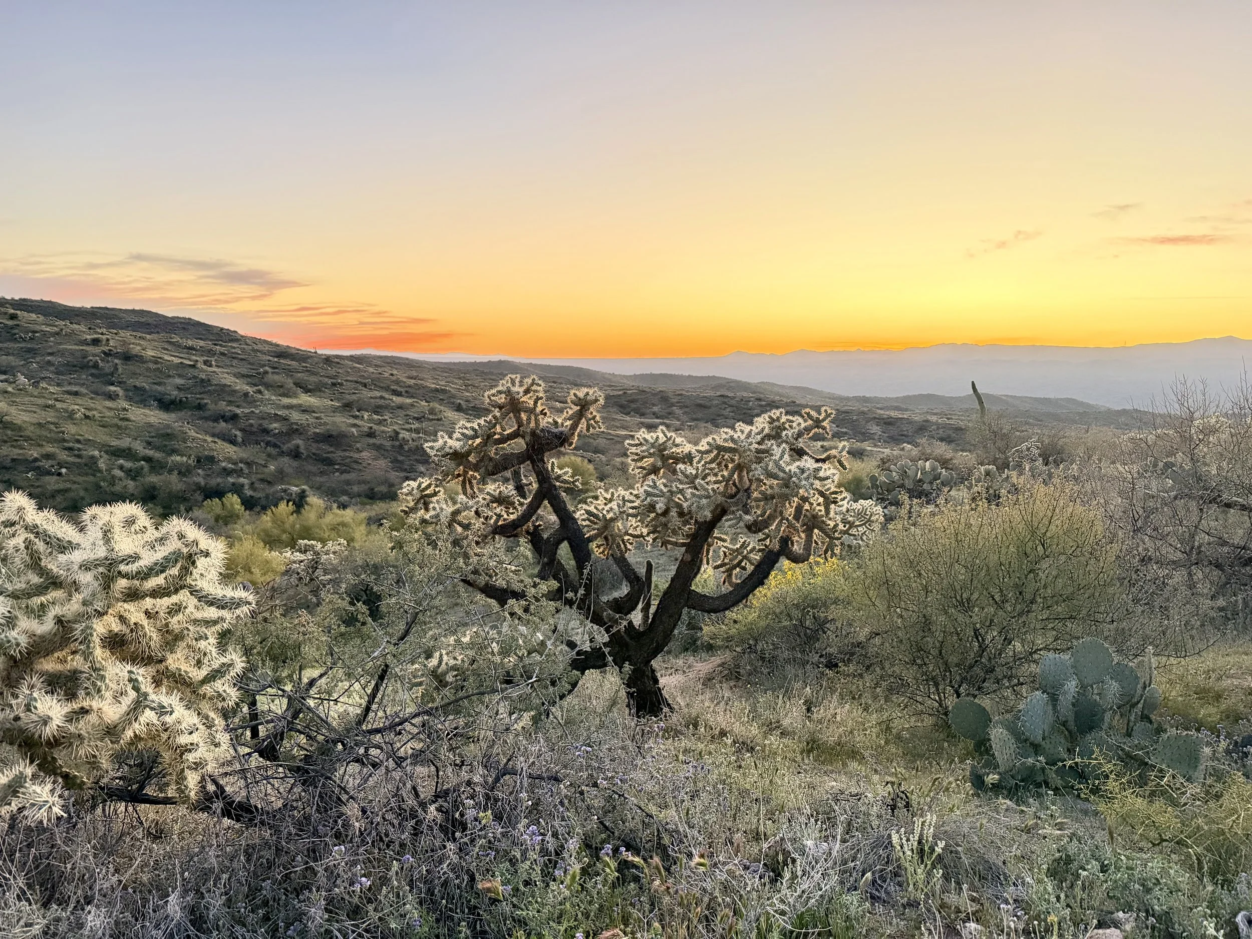 Arizona Trail Hike:  Mile 161 - 262